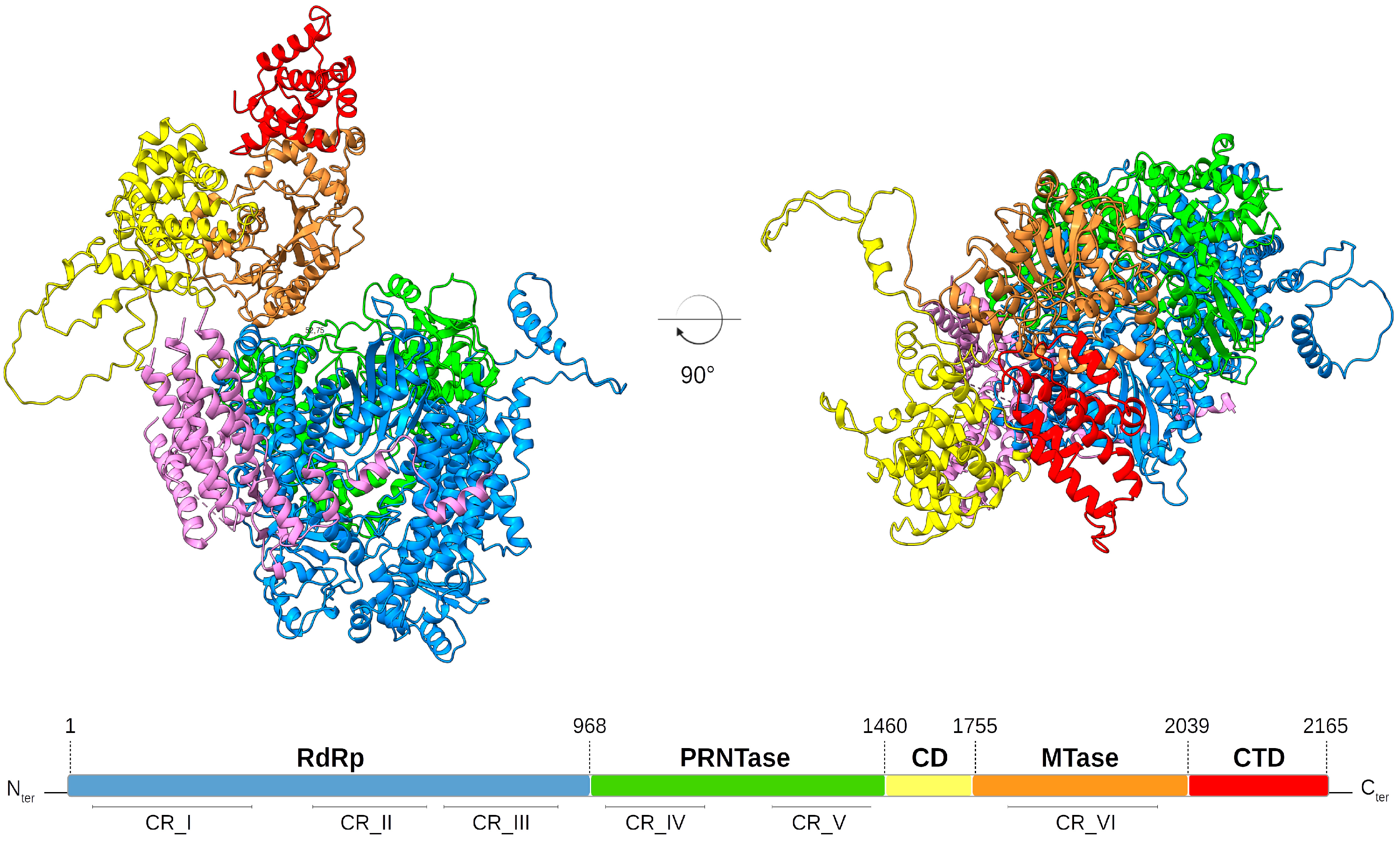 Viruses 15 00341 g001