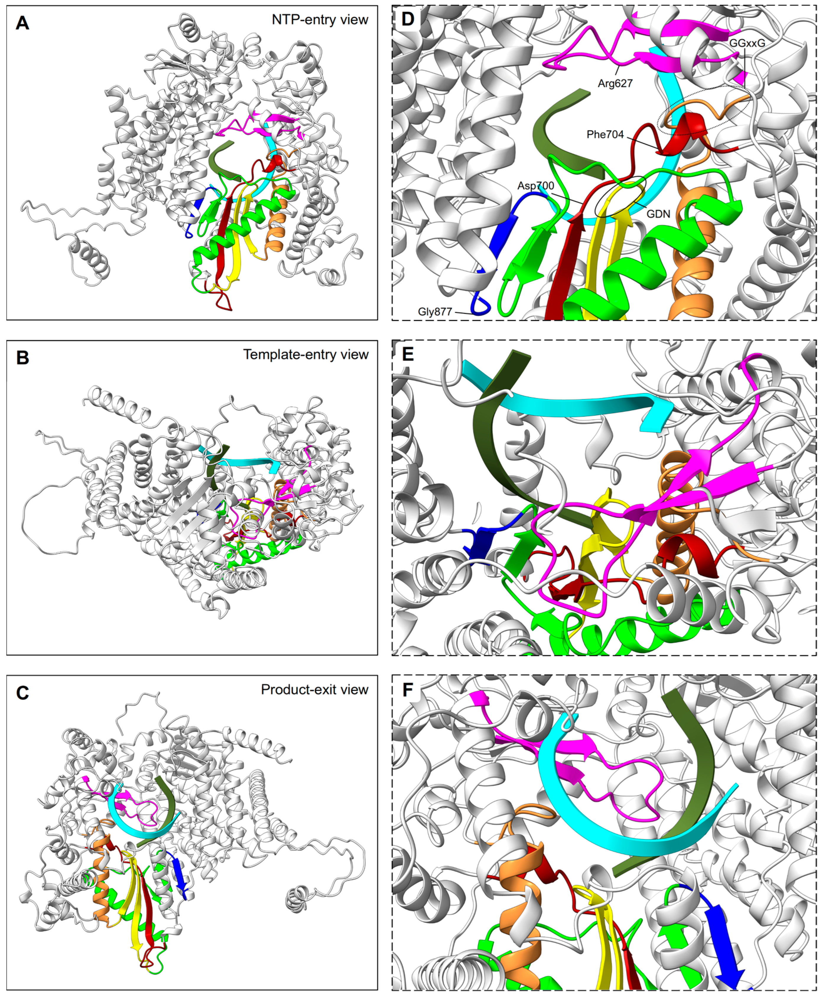 Viruses 15 00341 g003