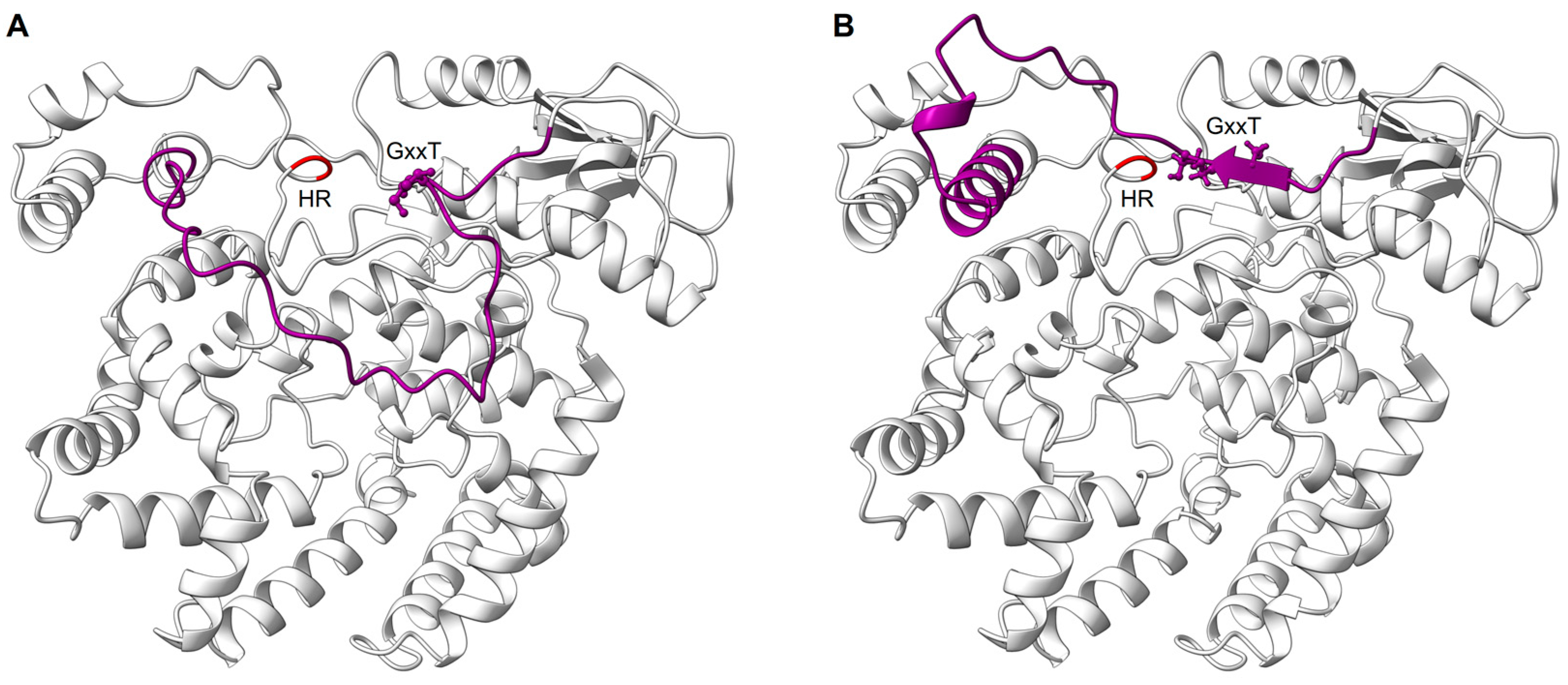 Viruses 15 00341 g006
