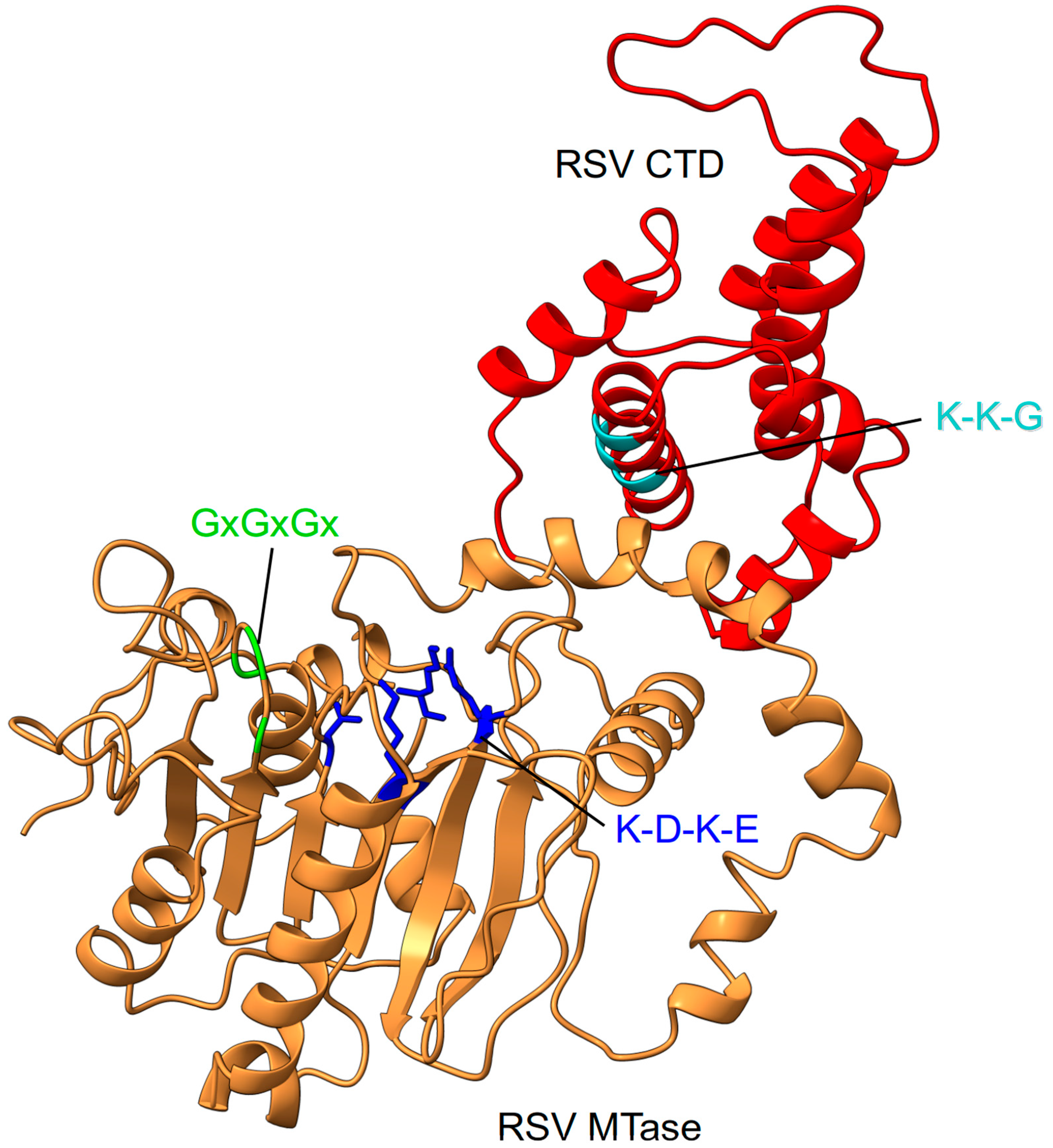 Viruses 15 00341 g007