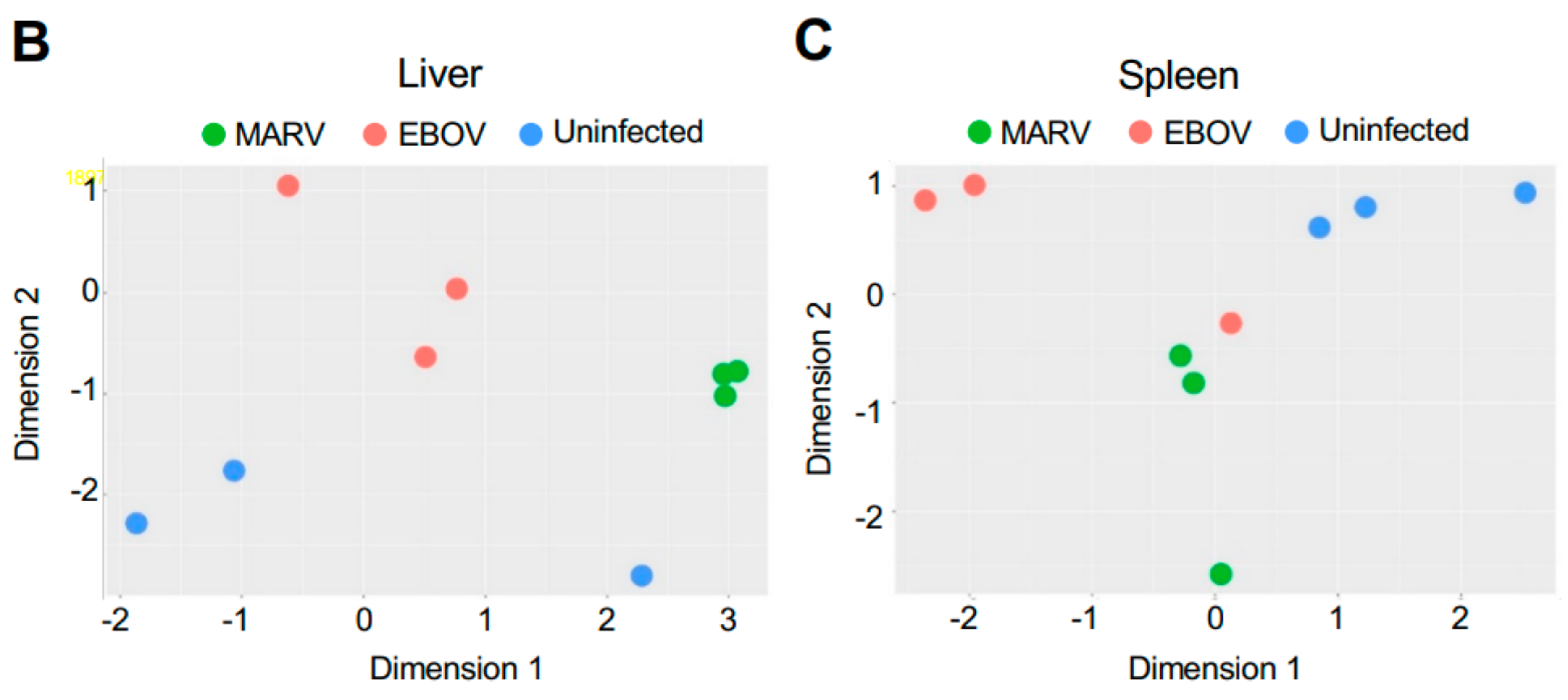 Viruses 15 00350 g002b