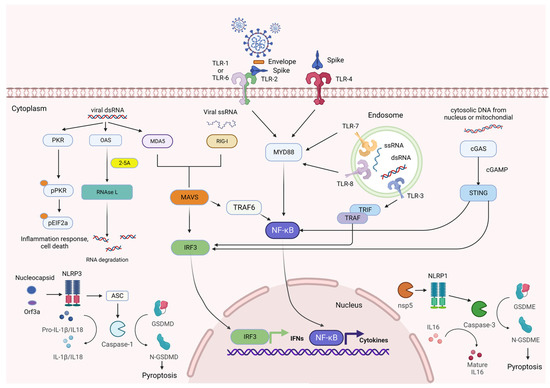 Cellular Sensors and Viral Countermeasures: A Molecular Arms Cellular Sensors and Viral Countermeasures: A Molecular Arms