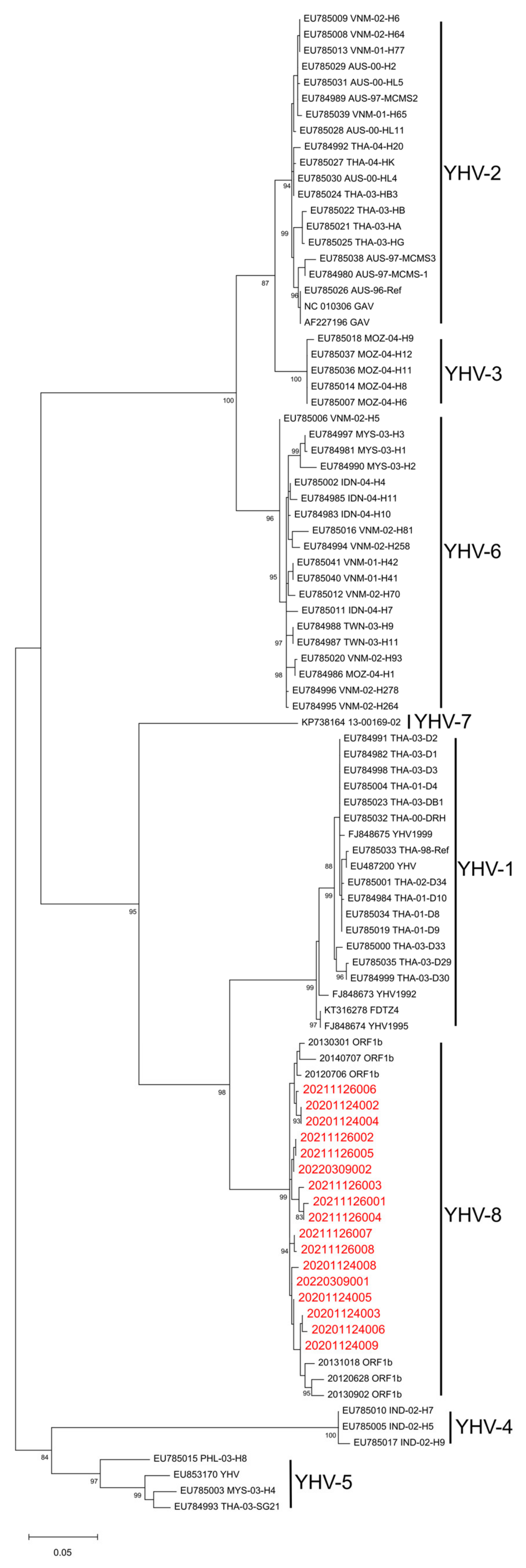Viruses 15 00361 g002 Viruses 15 00361 g002