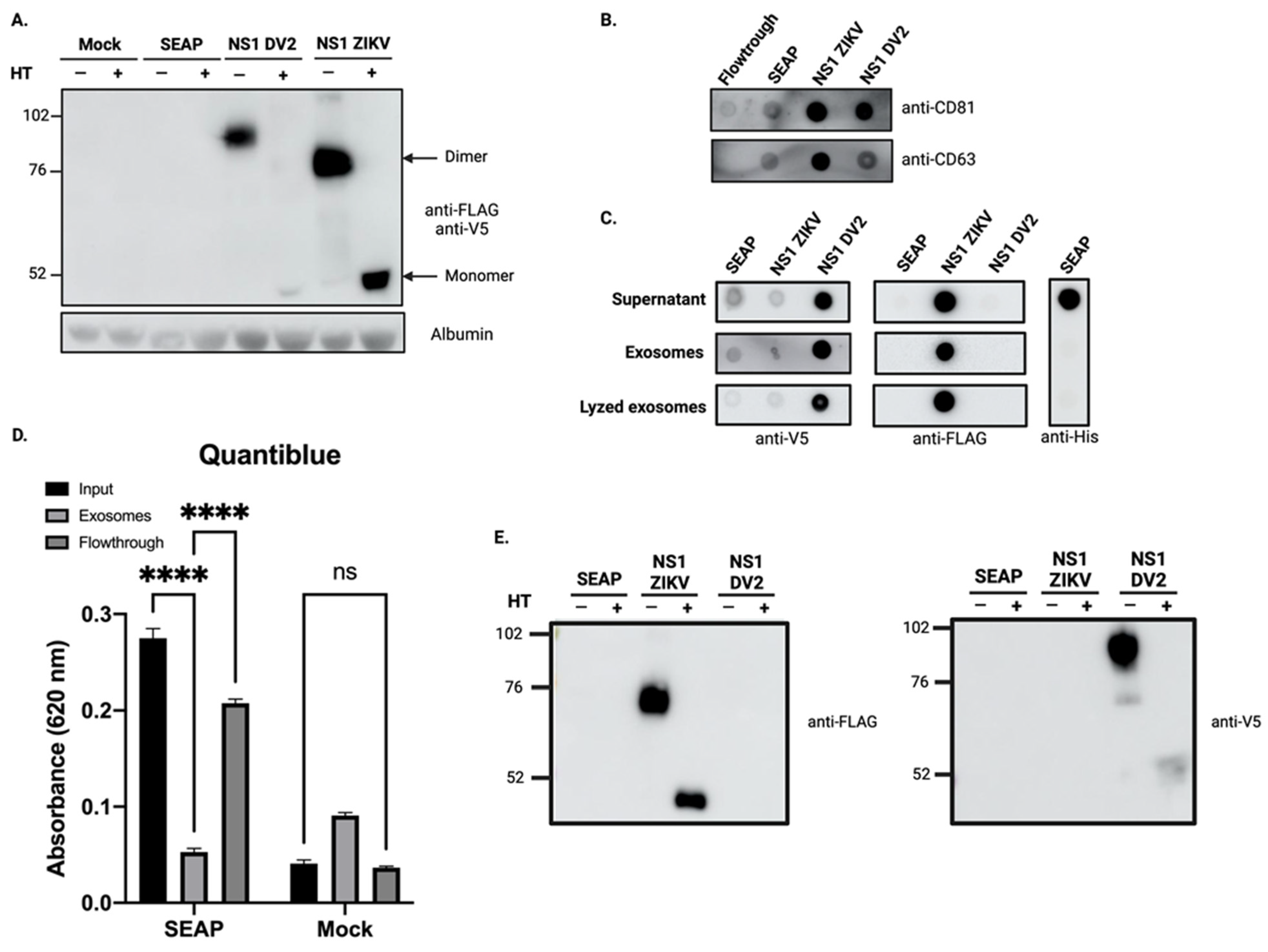 Viruses 15 00364 g002 Viruses 15 00364 g002