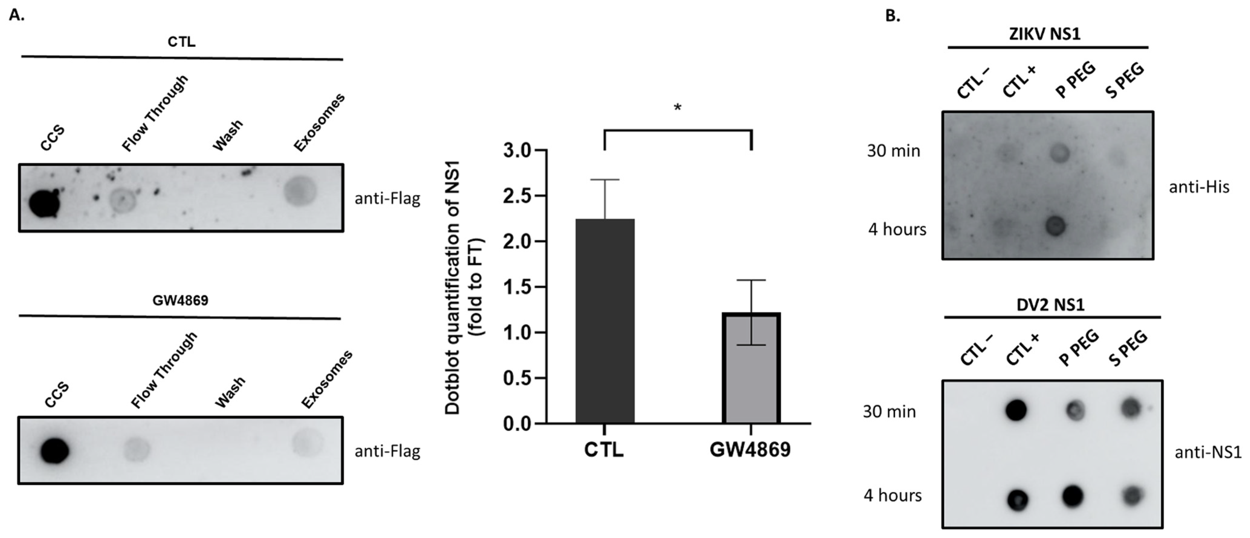 Viruses 15 00364 g004 Viruses 15 00364 g004