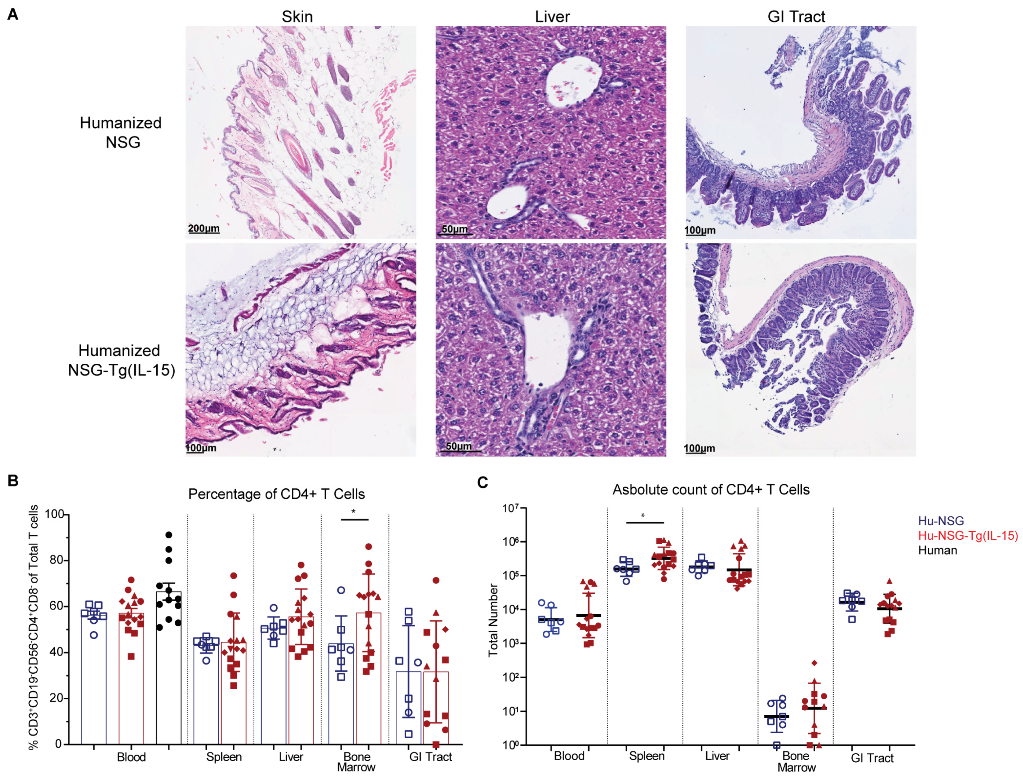 Viruses 15 00365 g002 Viruses 15 00365 g002