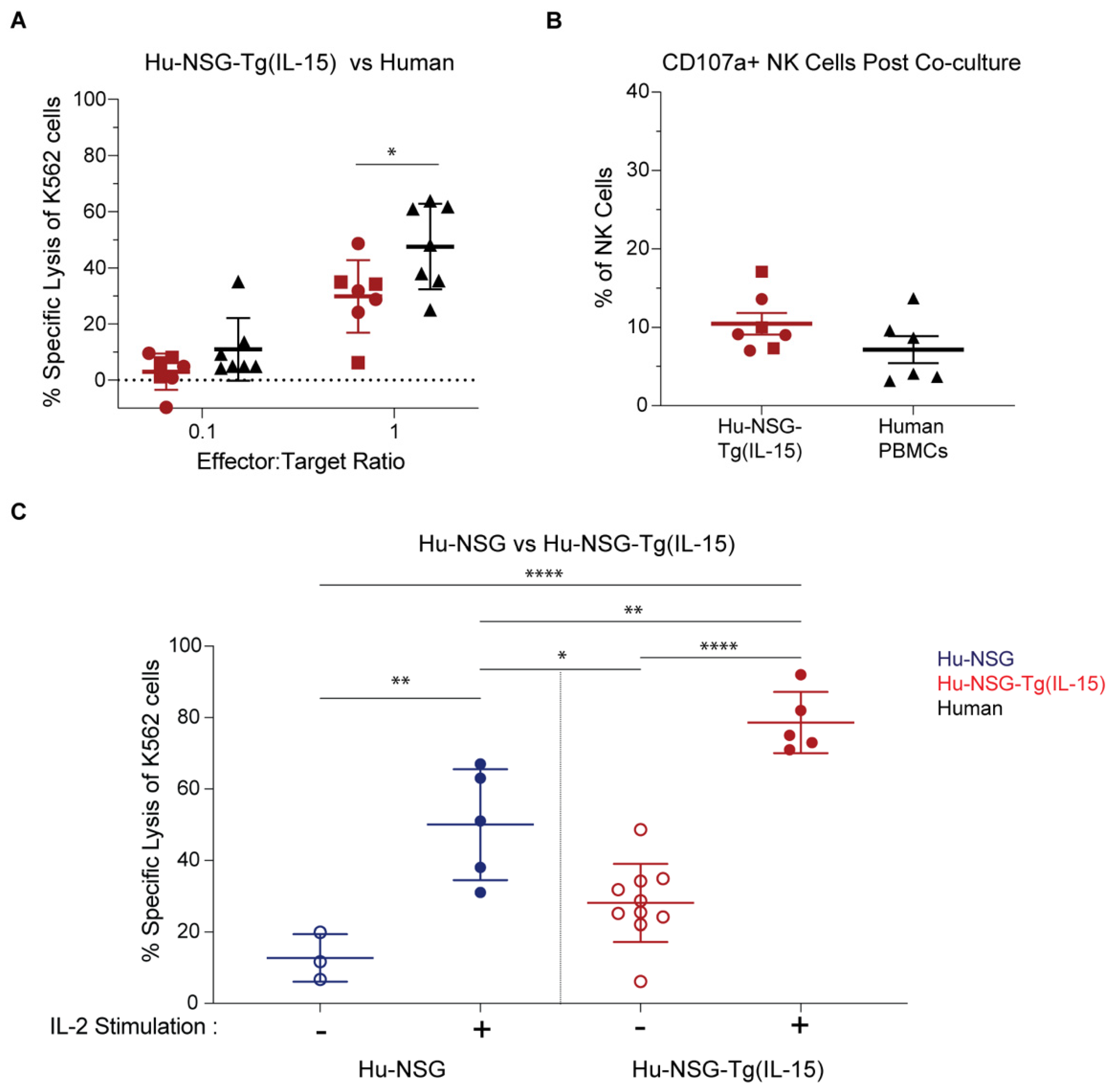 Viruses 15 00365 g005 Viruses 15 00365 g005