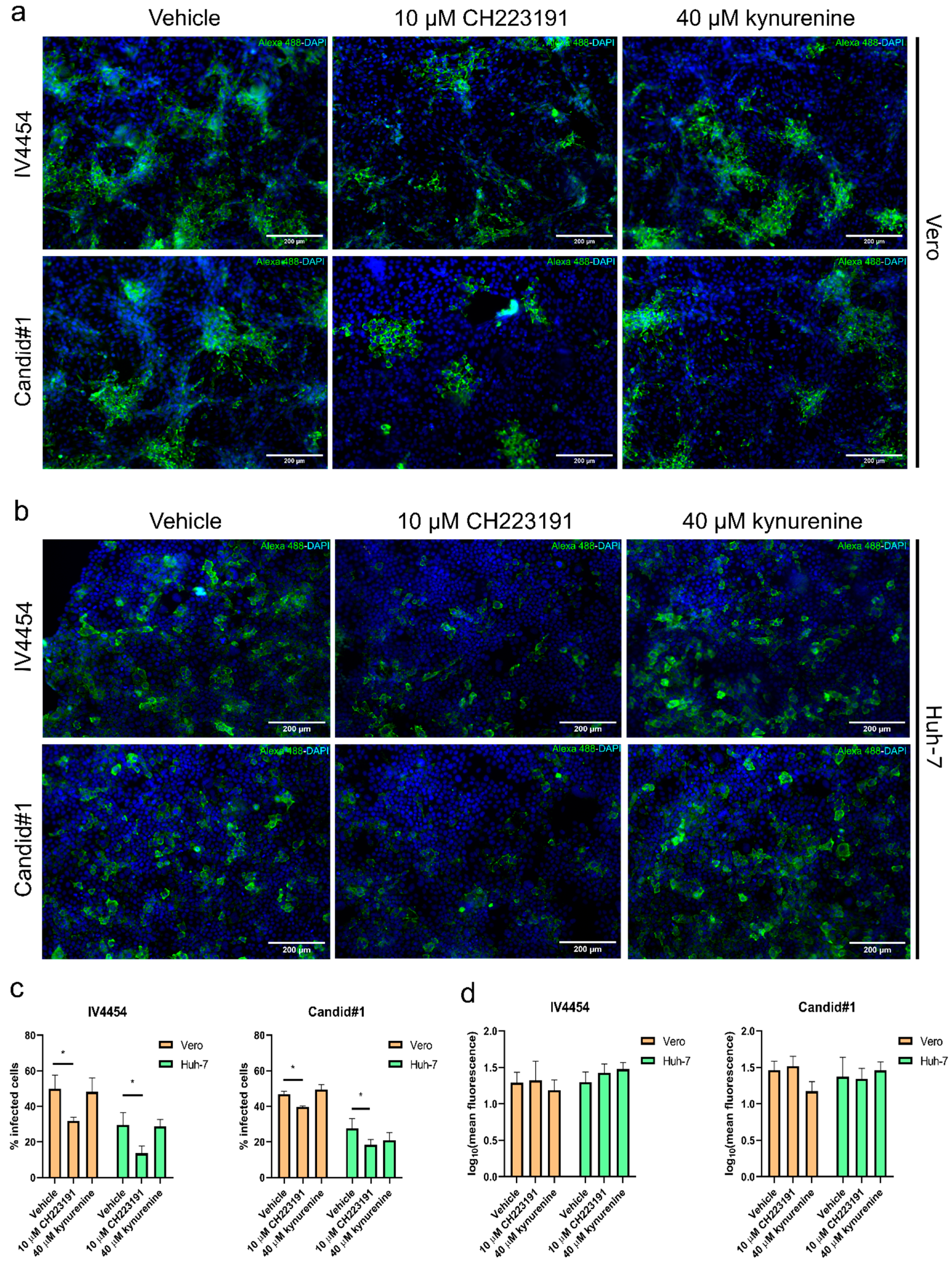 Viruses 15 00369 g005