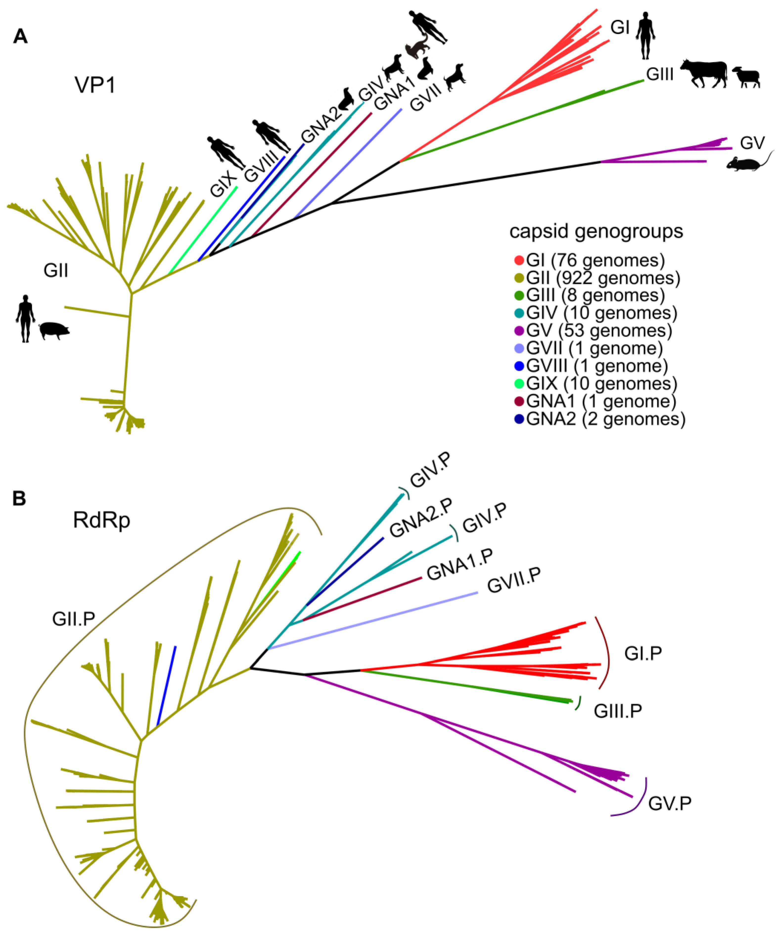 Viruses 15 00372 g001 Viruses 15 00372 g001