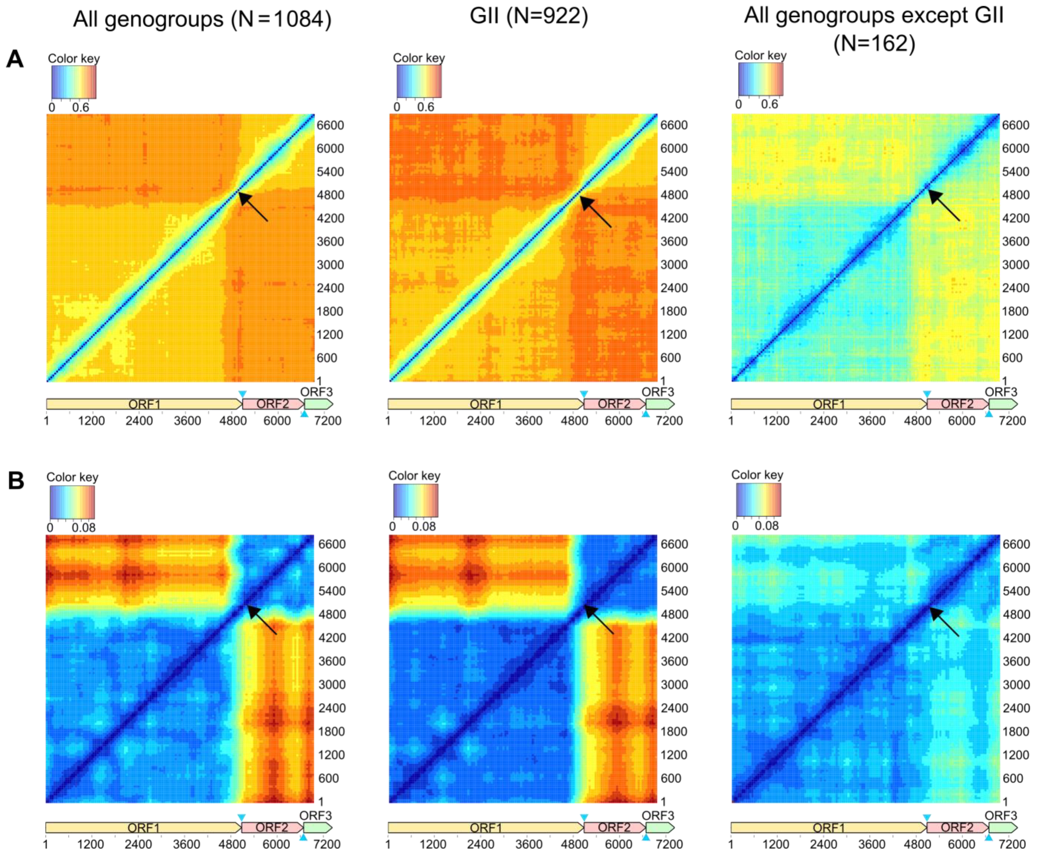 Viruses 15 00372 g002 Viruses 15 00372 g002