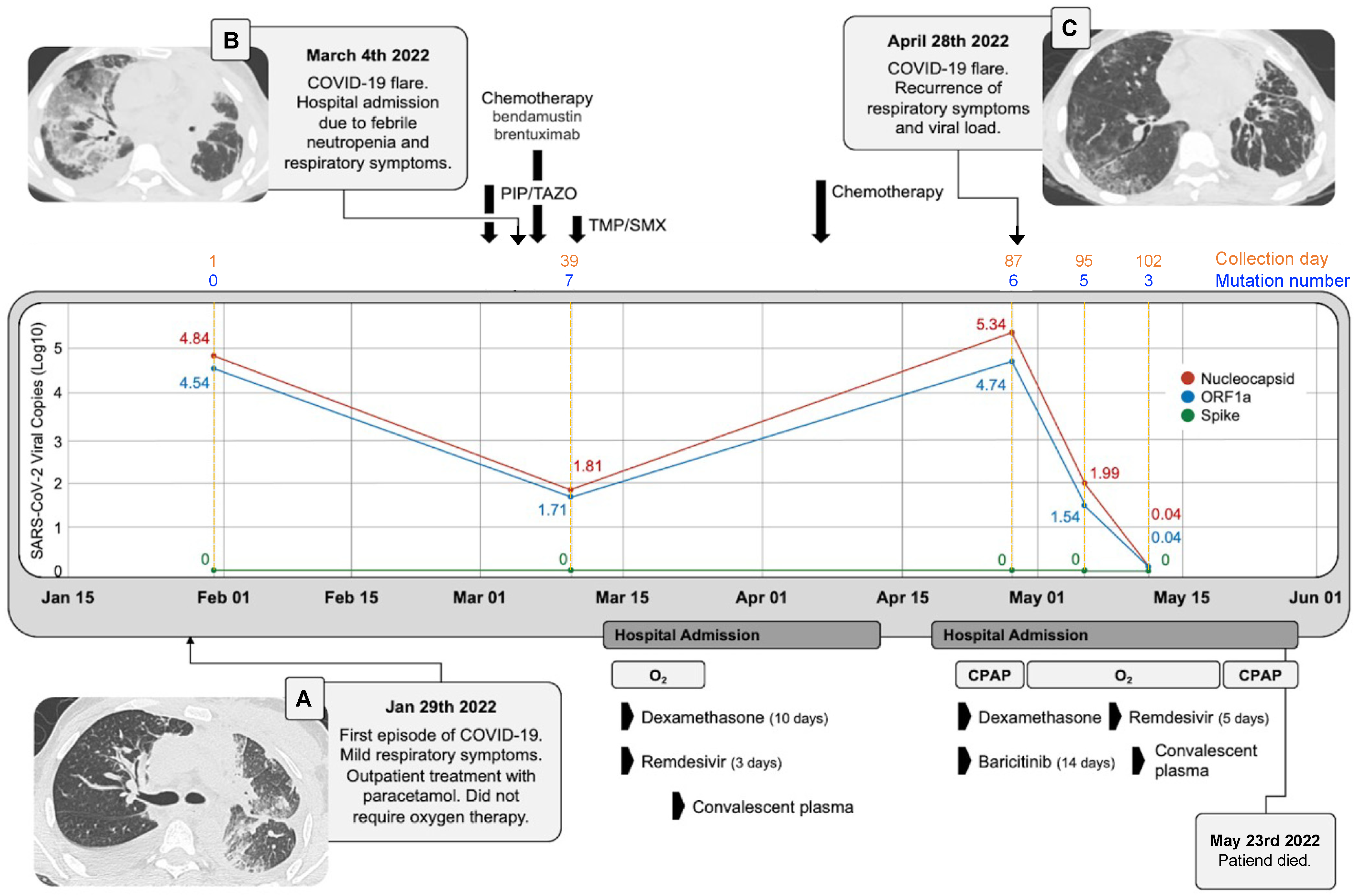 Viruses 15 00377 g001