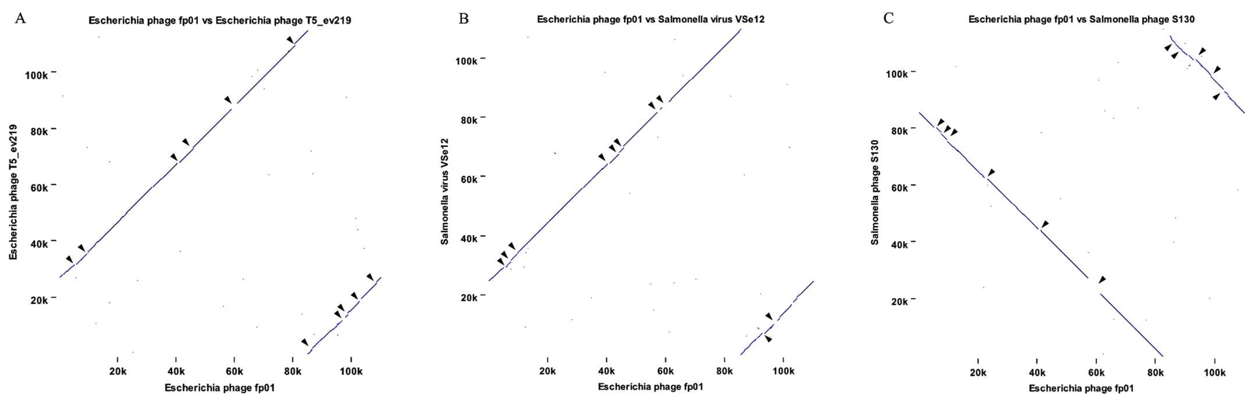 Viruses 15 00379 g003 Viruses 15 00379 g003