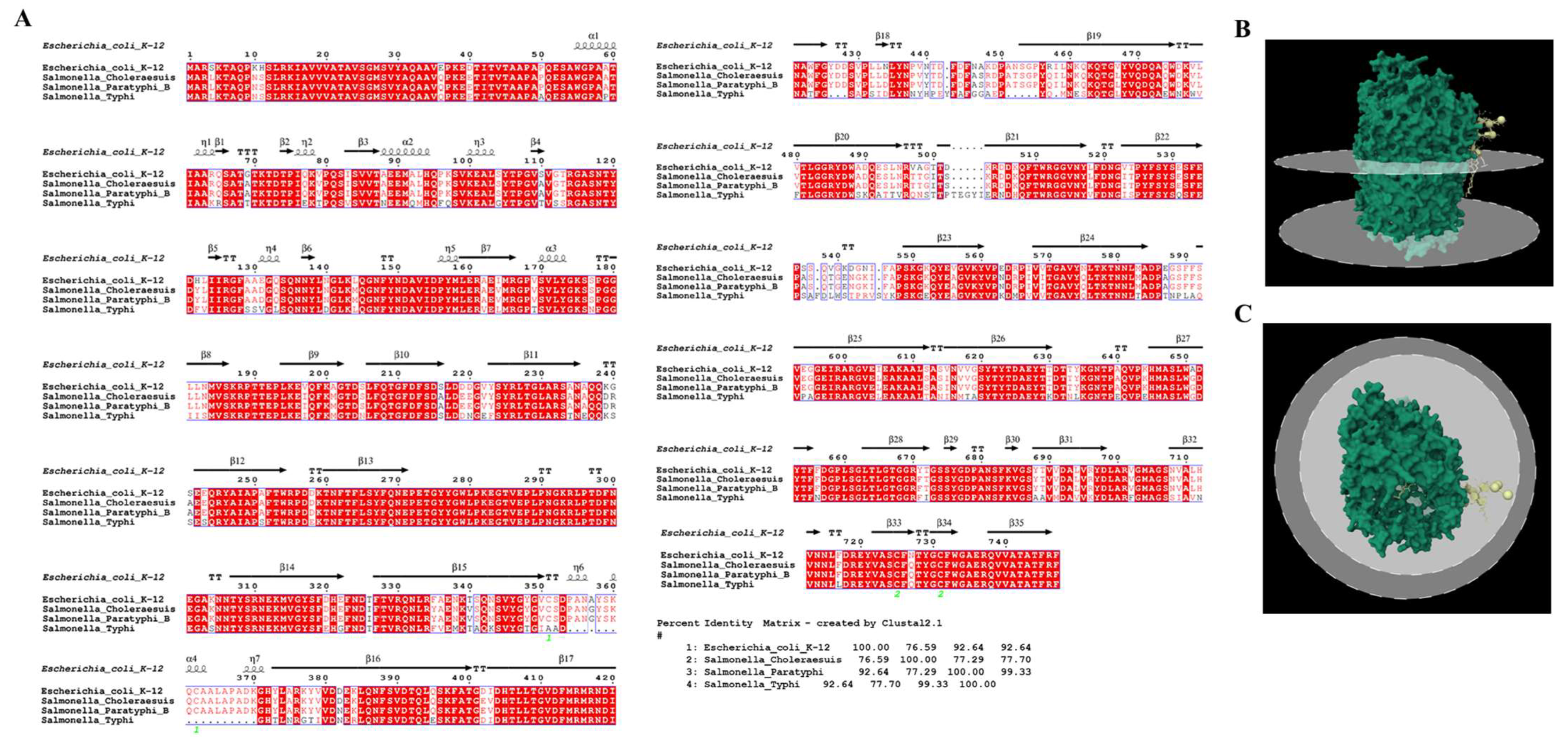 Viruses 15 00379 g005 Viruses 15 00379 g005