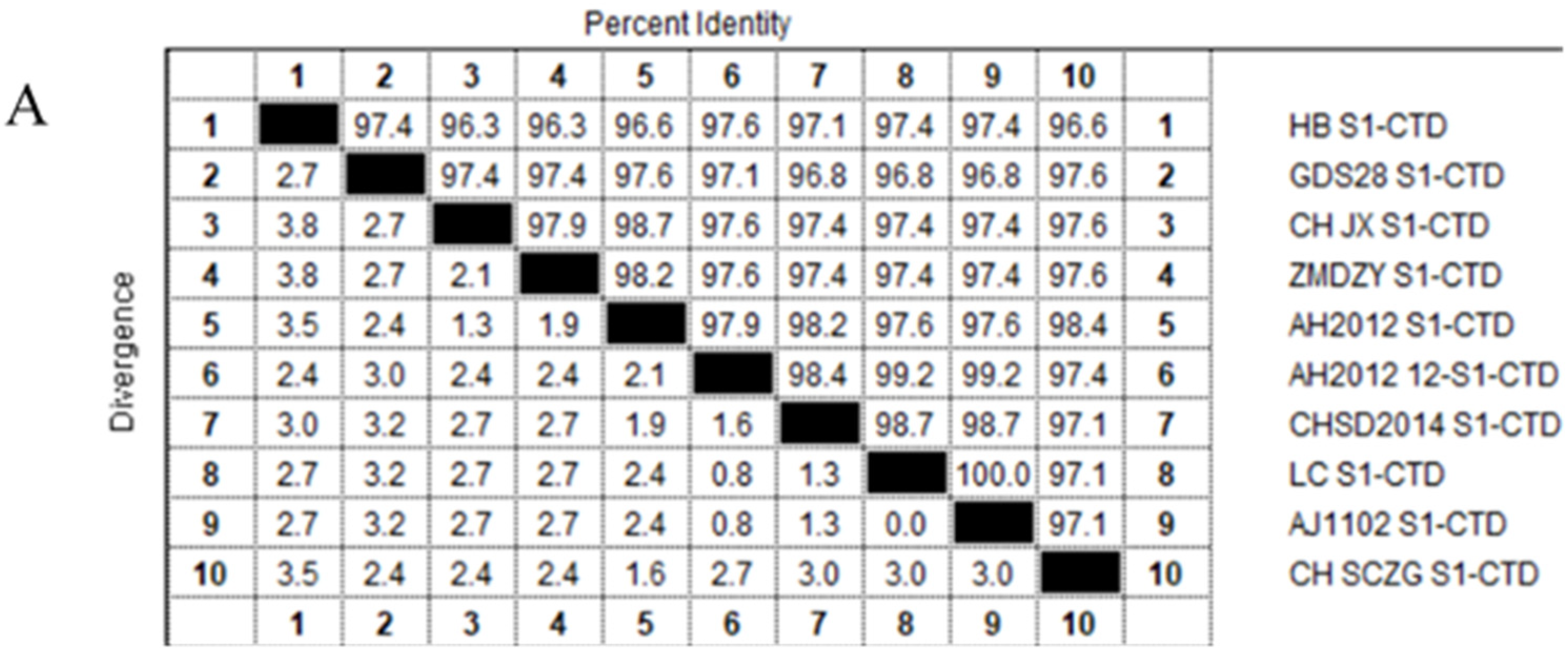Viruses 15 00381 g001a Viruses 15 00381 g001a