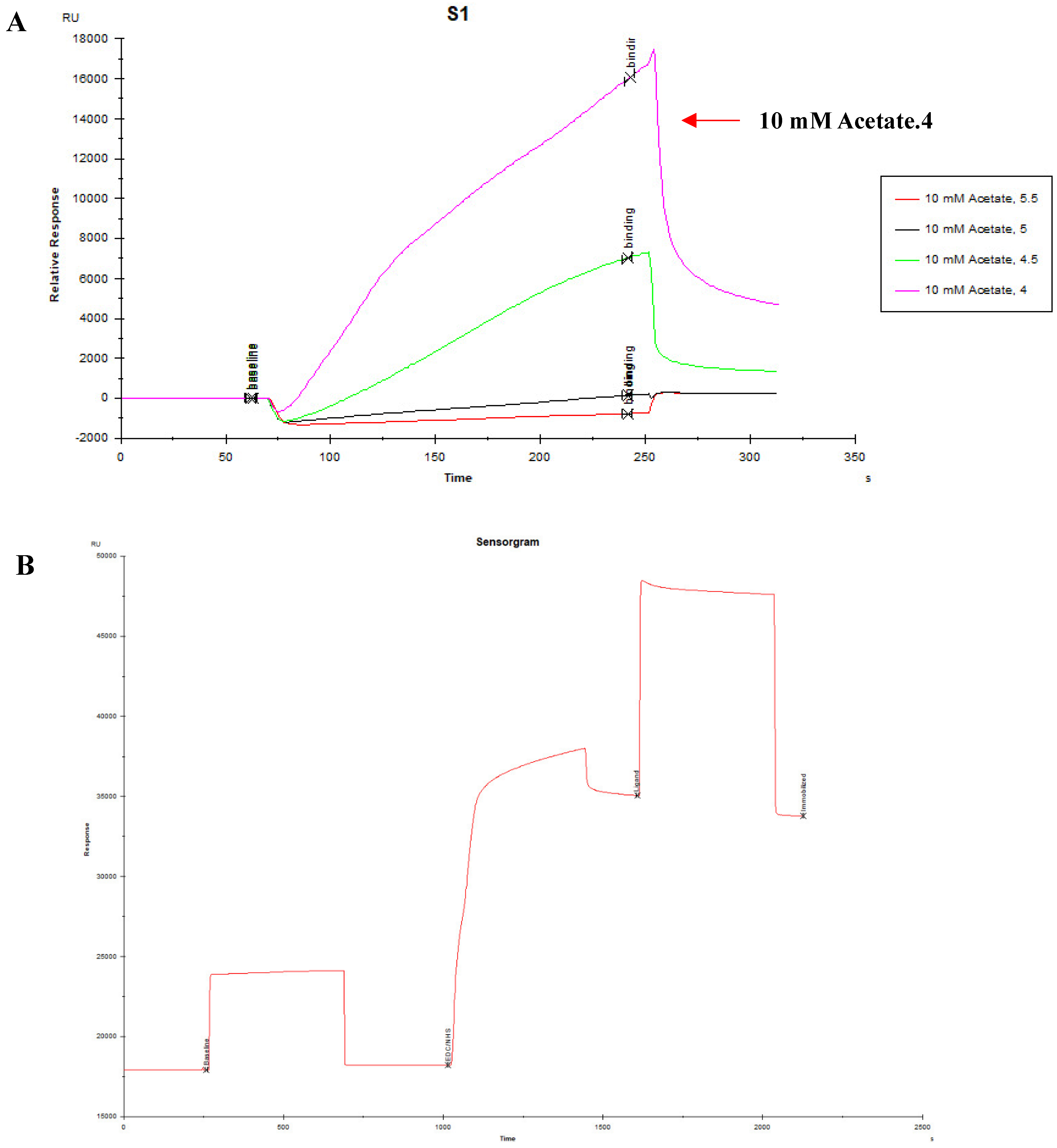 Viruses 15 00381 g004 Viruses 15 00381 g004