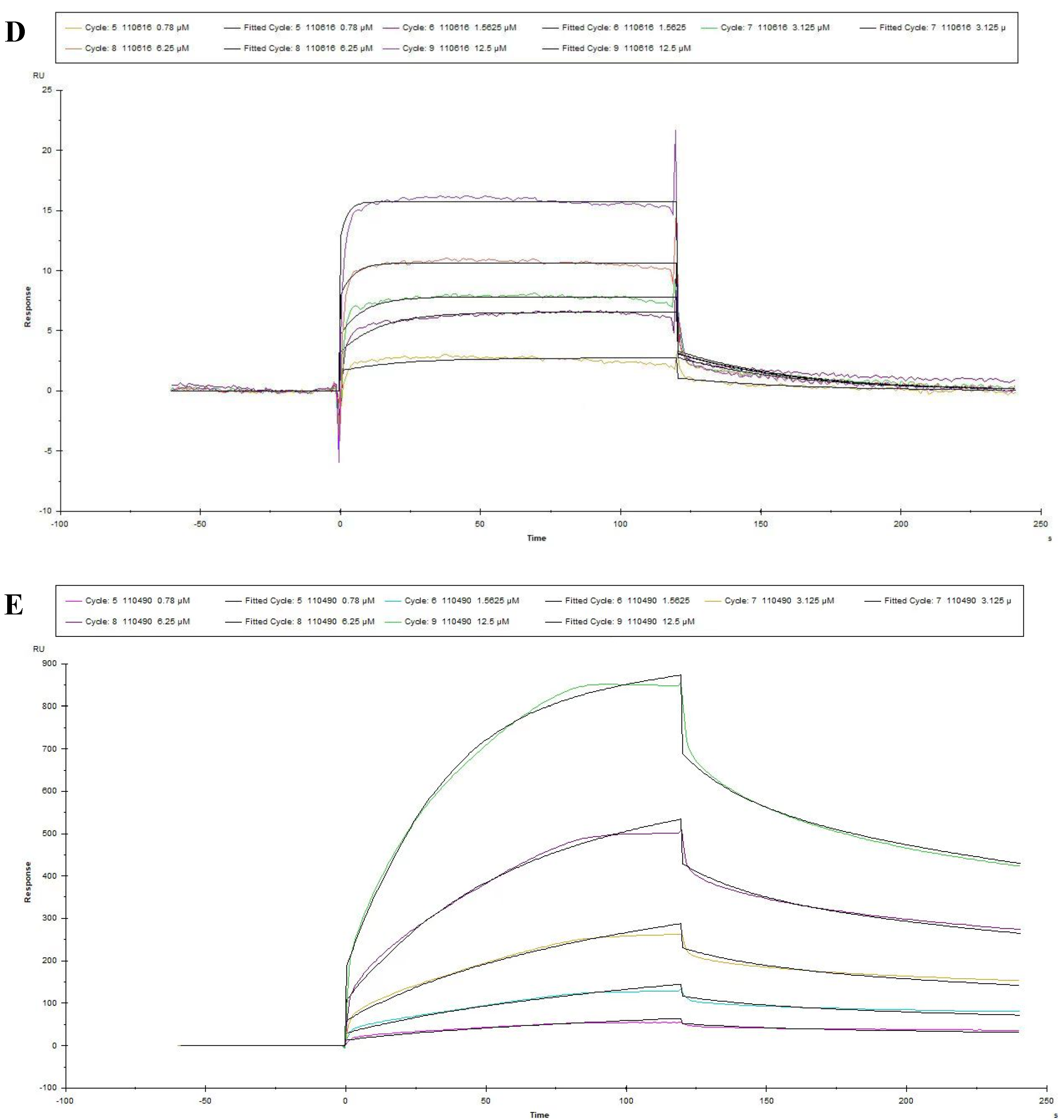 Viruses 15 00381 g005b Viruses 15 00381 g005b