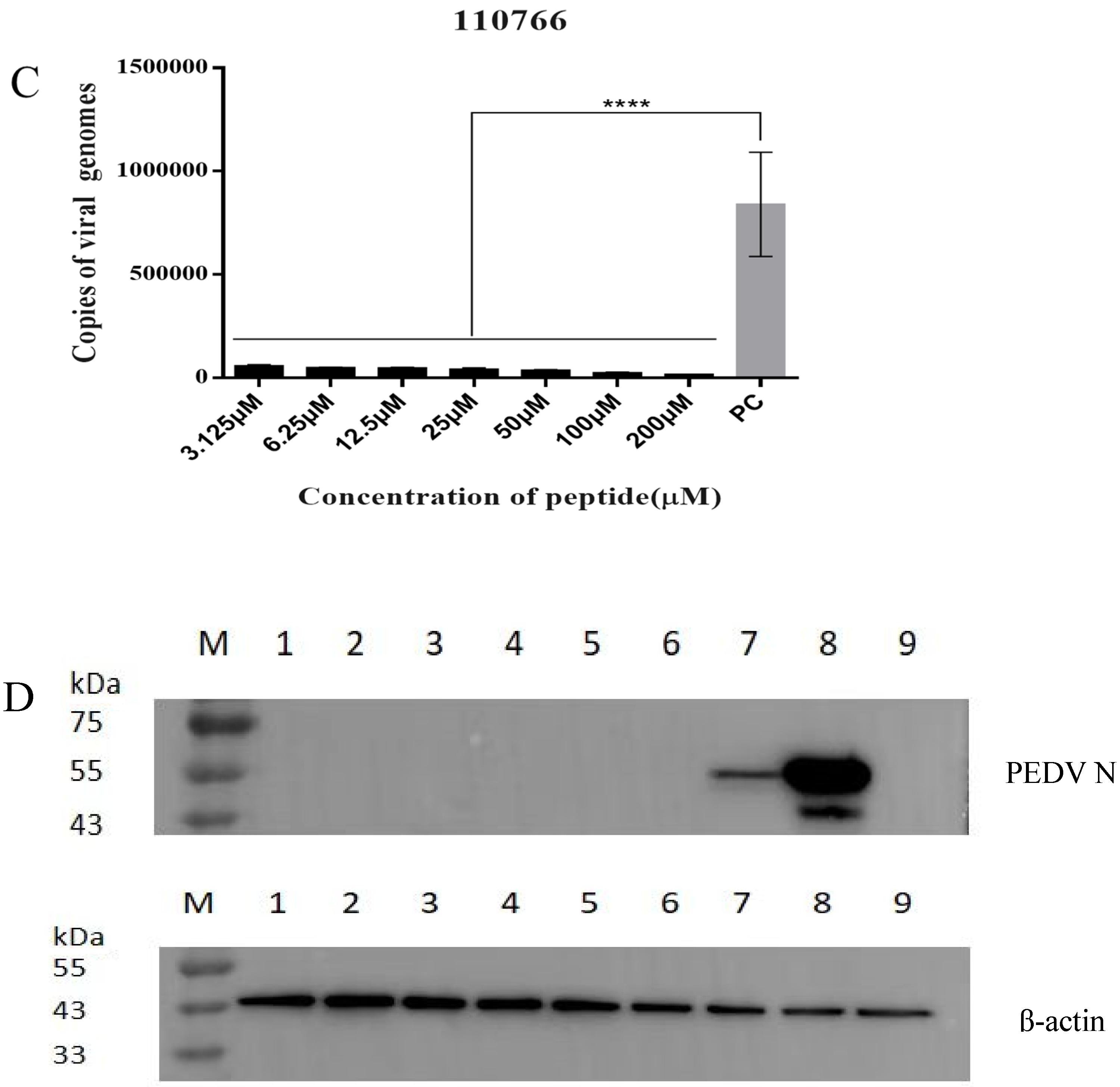 Viruses 15 00381 g006b Viruses 15 00381 g006b
