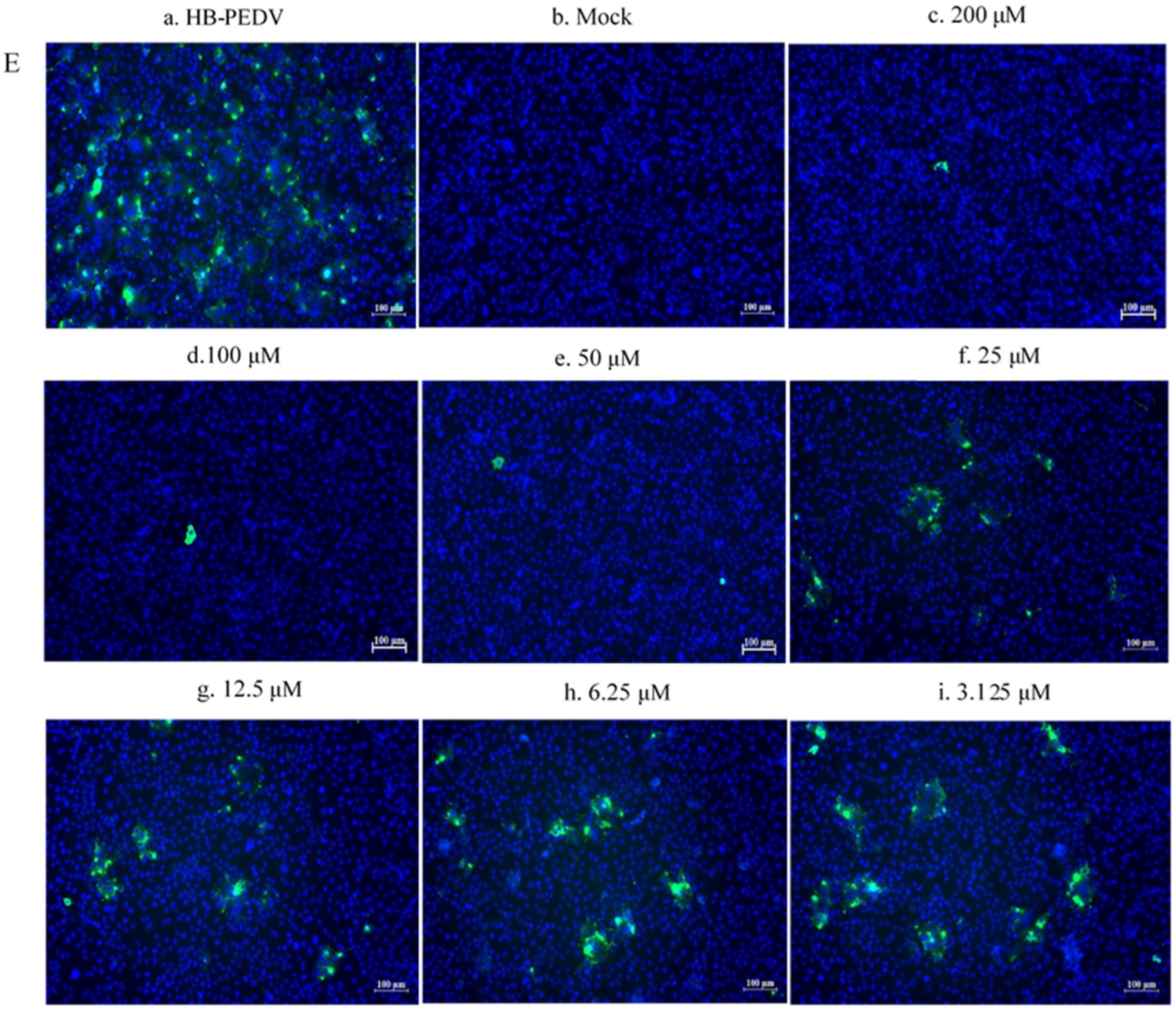 Viruses 15 00381 g006c Viruses 15 00381 g006c