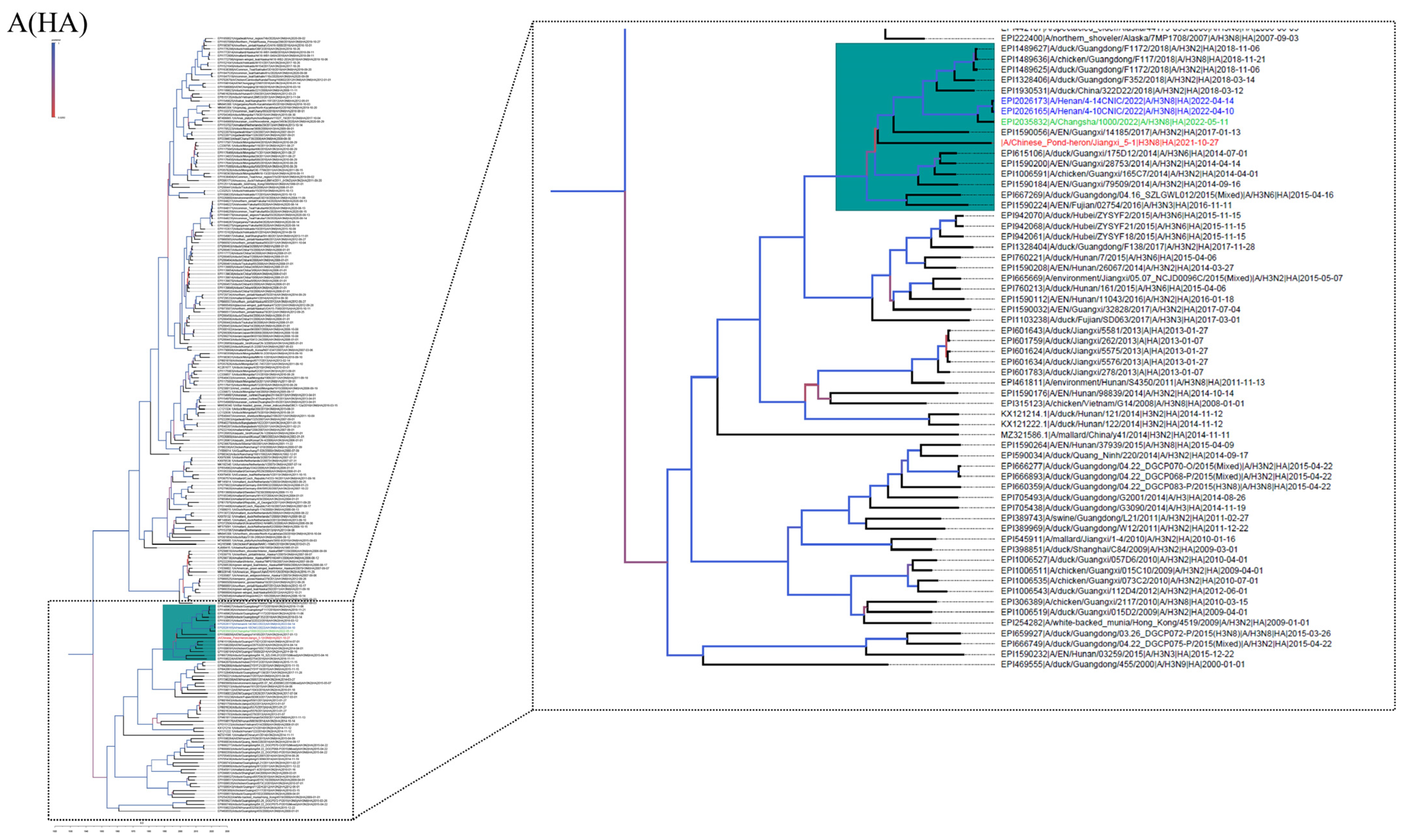 Viruses 15 00383 g001a Viruses 15 00383 g001a