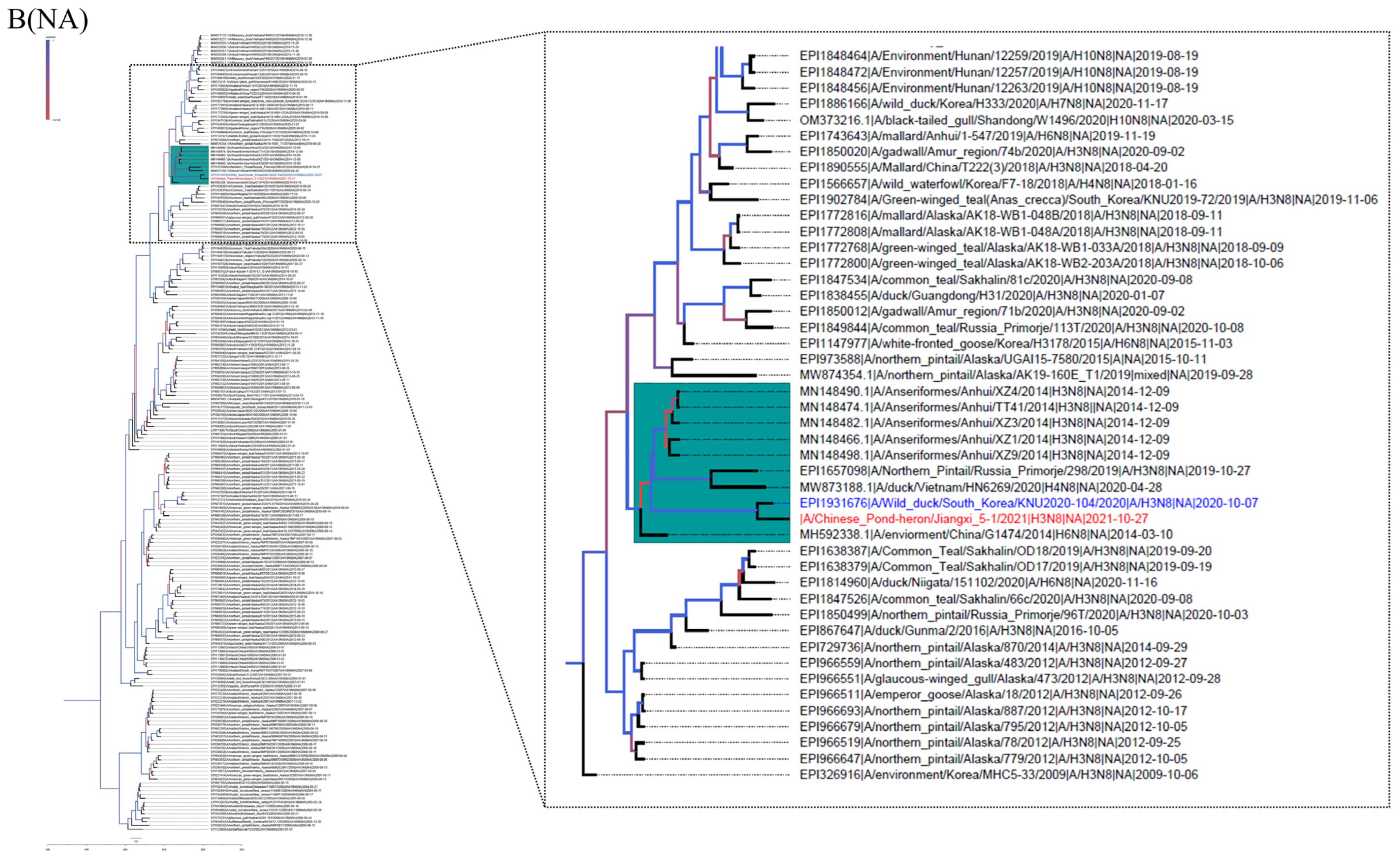 Viruses 15 00383 g001b Viruses 15 00383 g001b