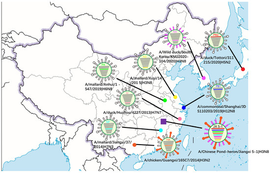 Genetic Characterization and Pathogenesis of Avian Influenza Virus H3N8 ...