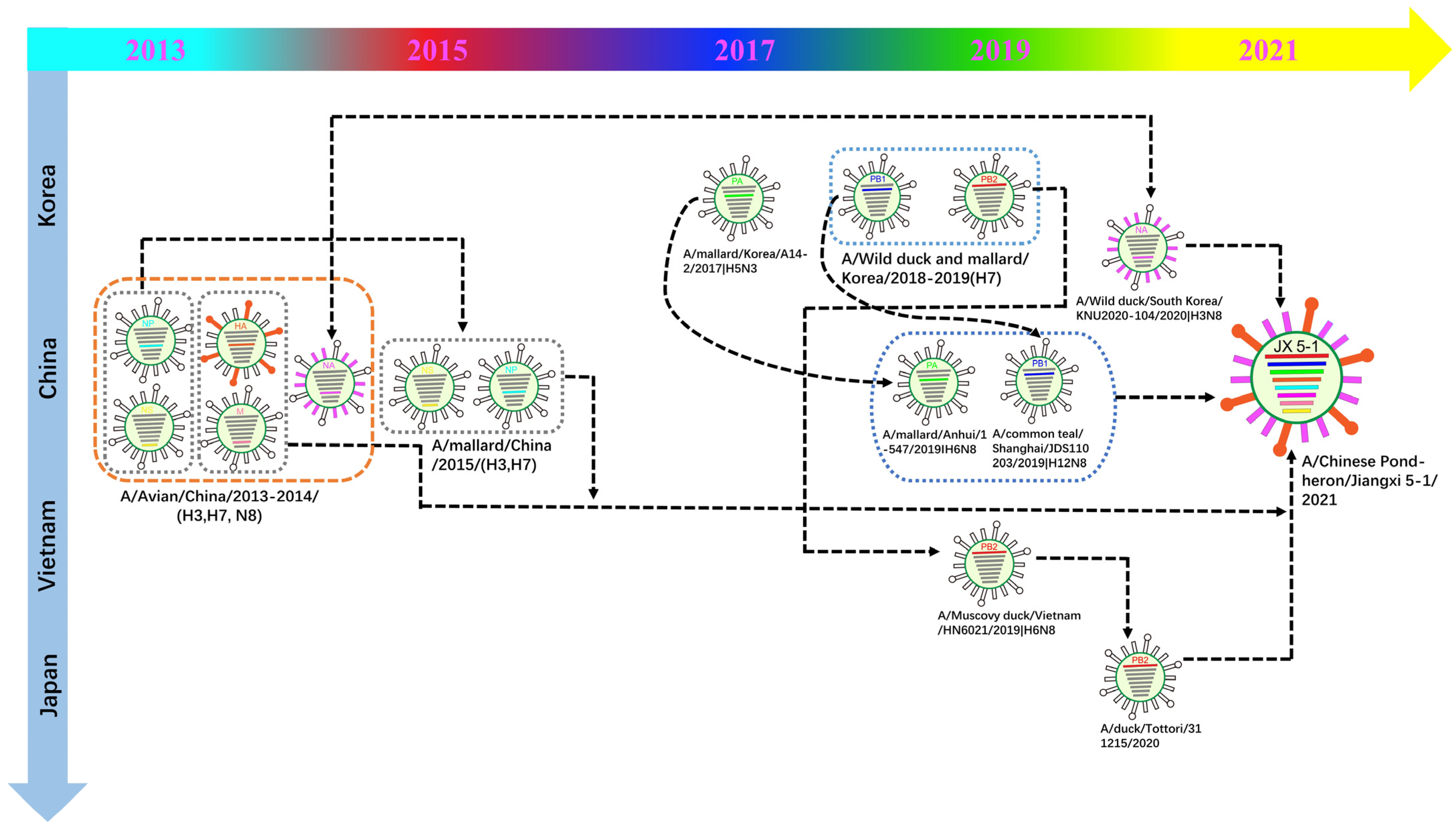 Viruses 15 00383 g003 Viruses 15 00383 g003