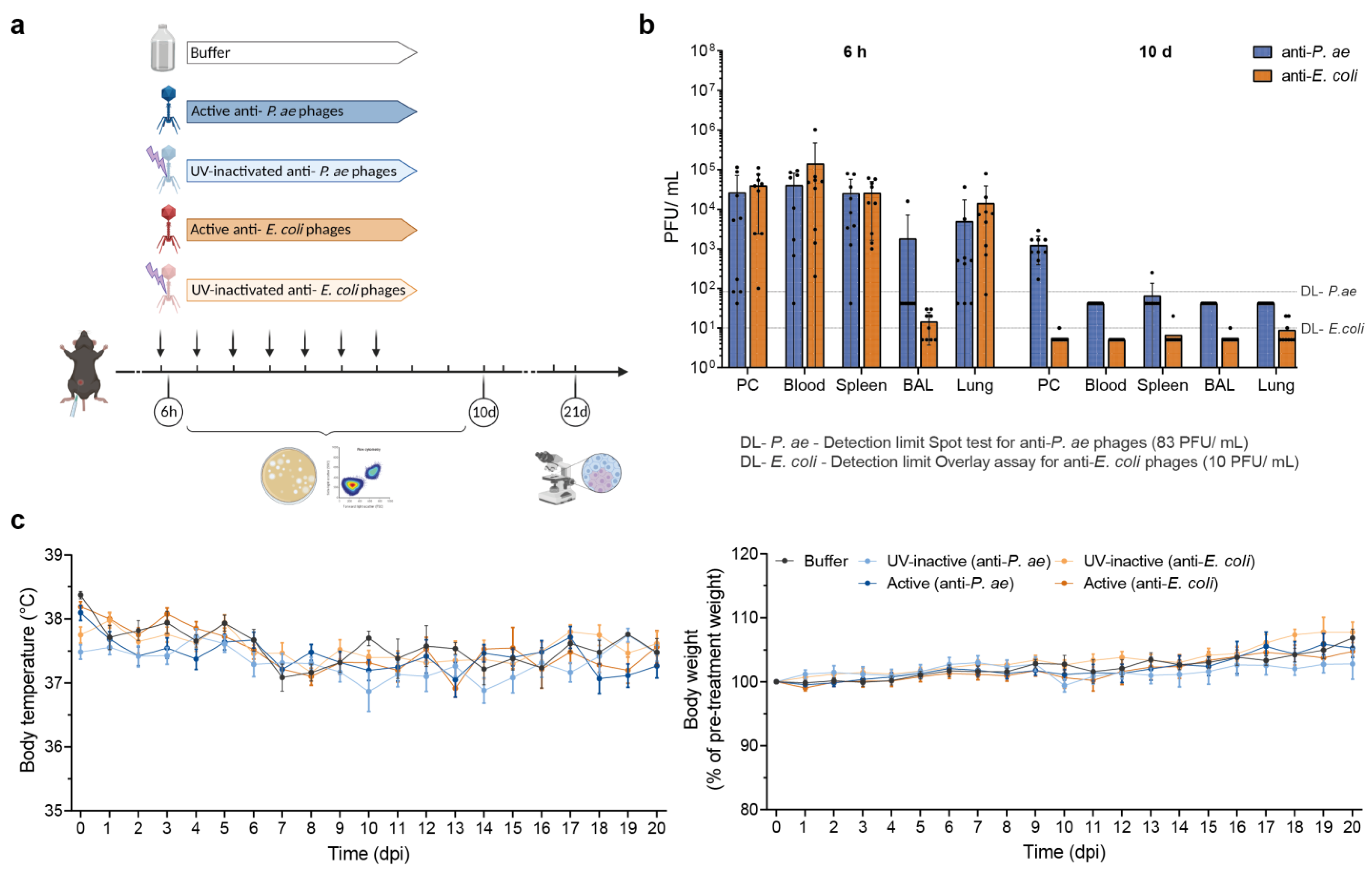 Viruses 15 00387 g001 Viruses 15 00387 g001