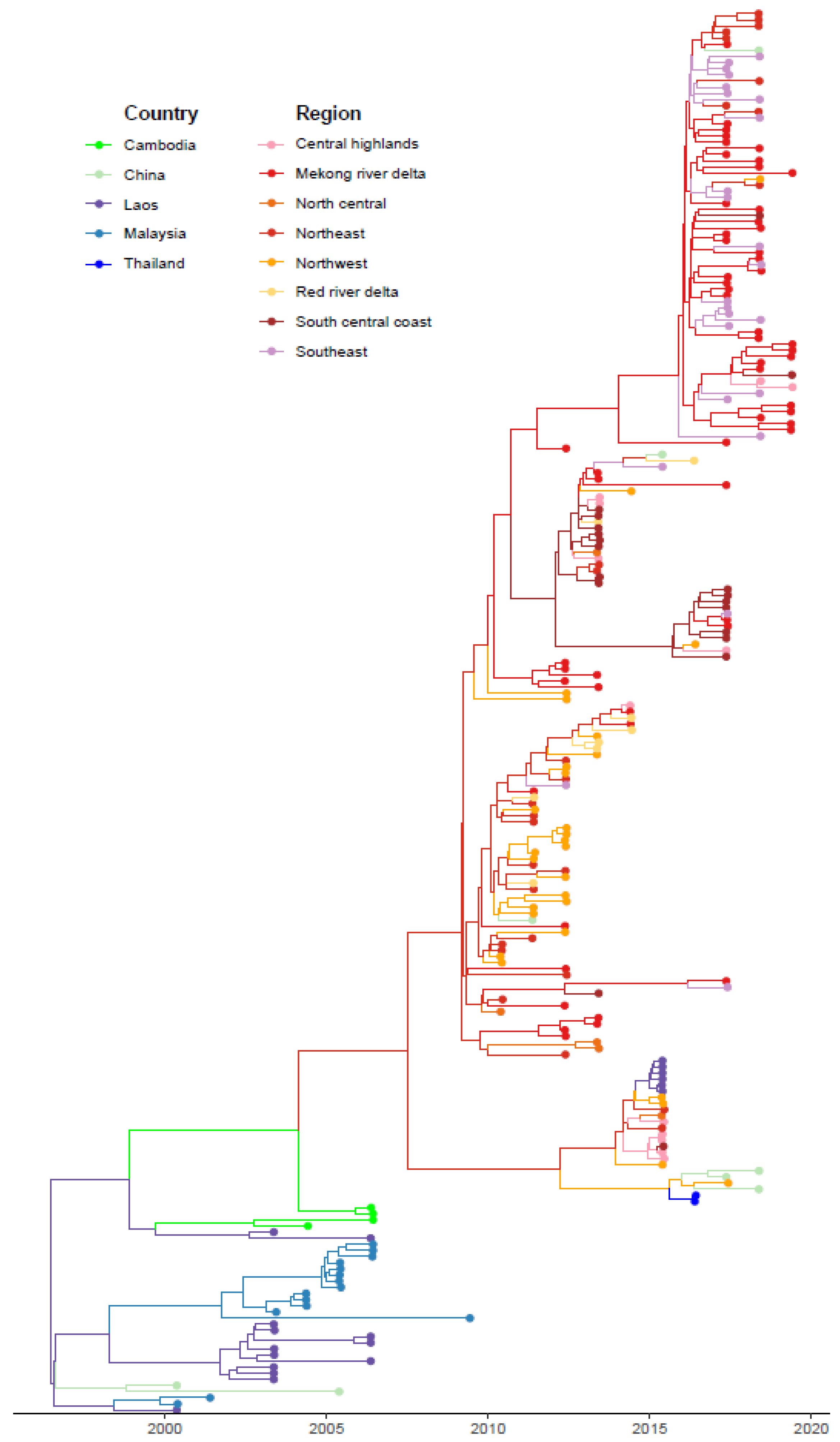 Viruses 15 00388 g001 Viruses 15 00388 g001