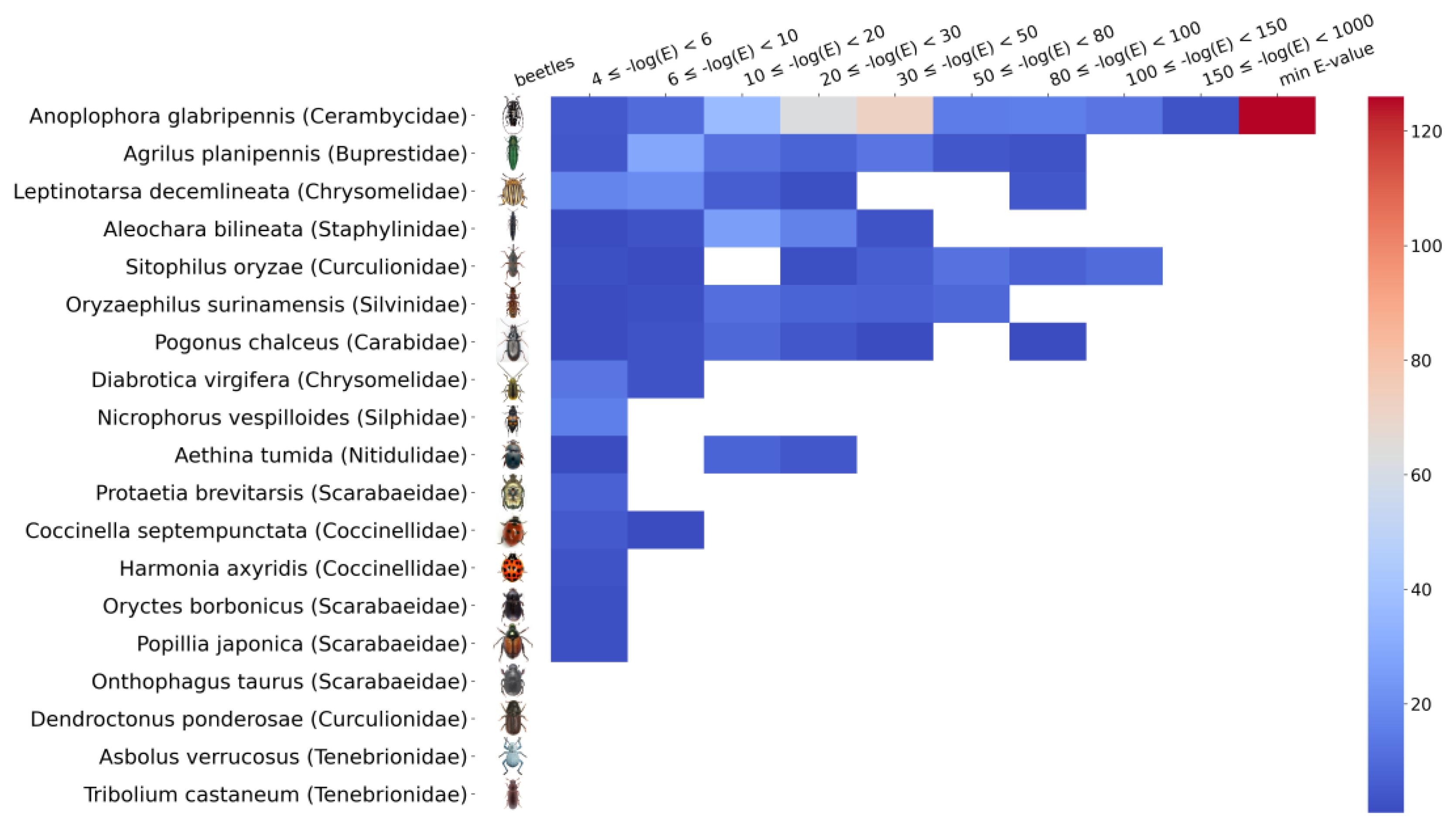 Viruses 15 00395 g006 Viruses 15 00395 g006