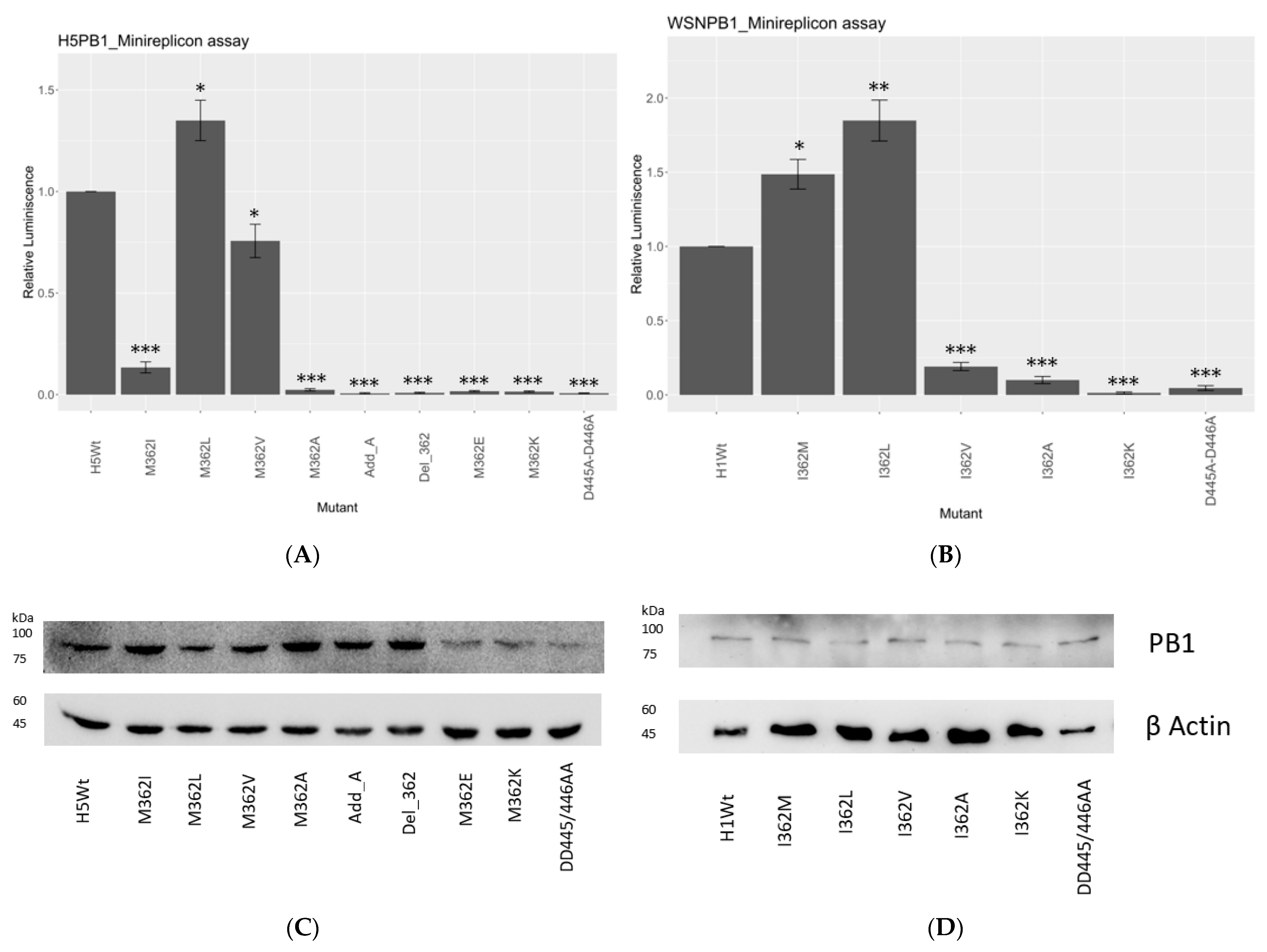 Viruses 15 00396 g001