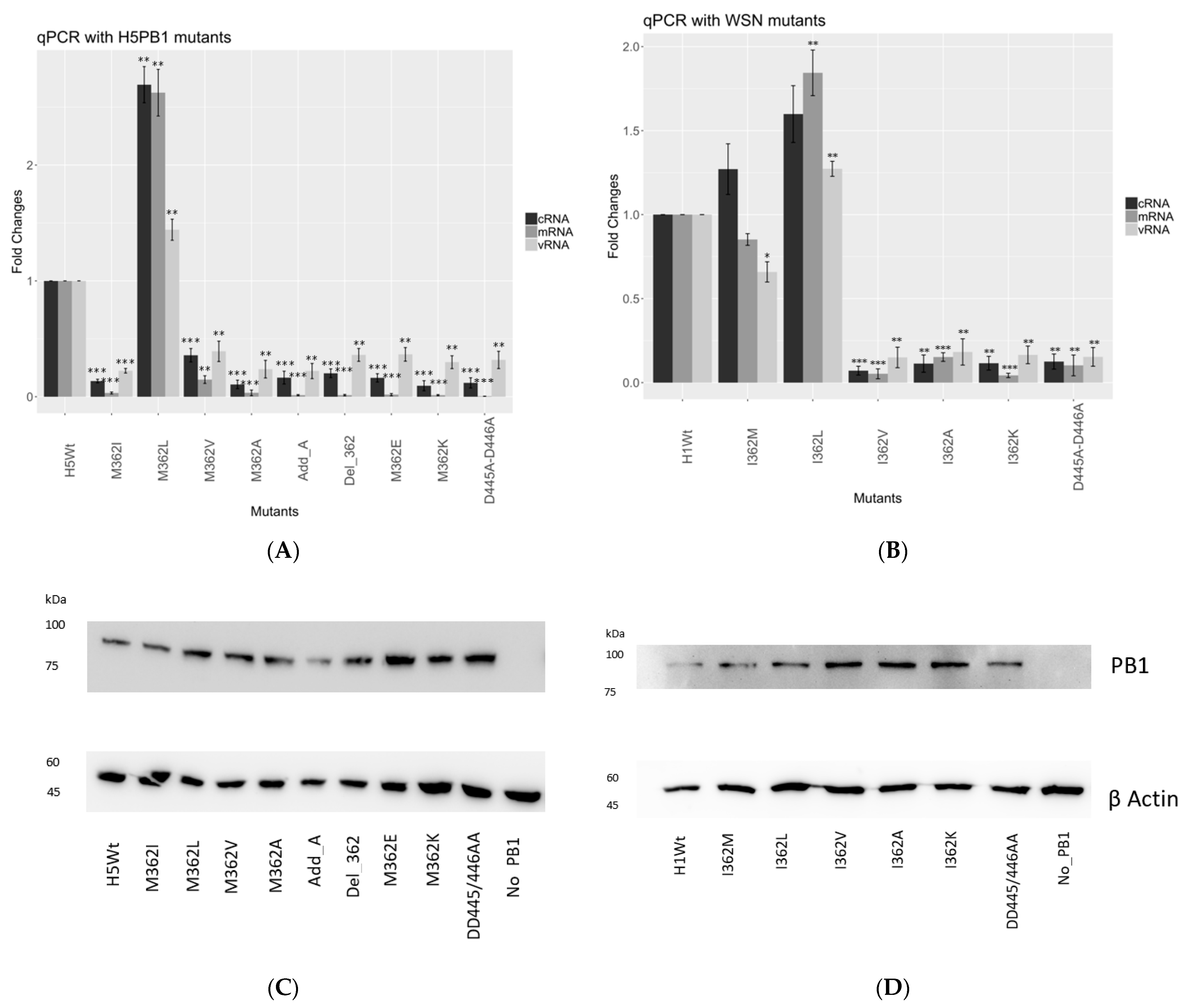 Viruses 15 00396 g002