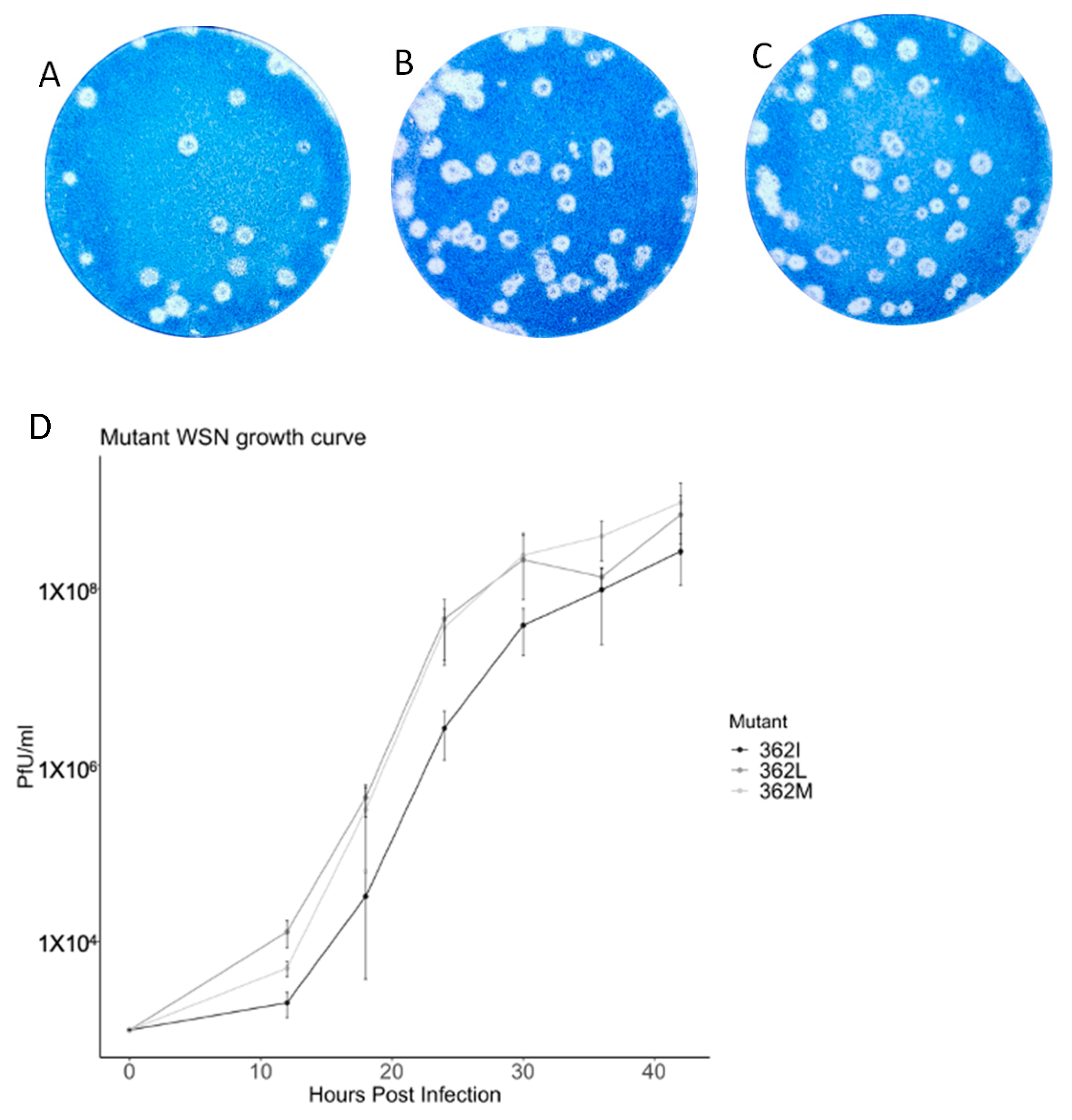 Viruses 15 00396 g003
