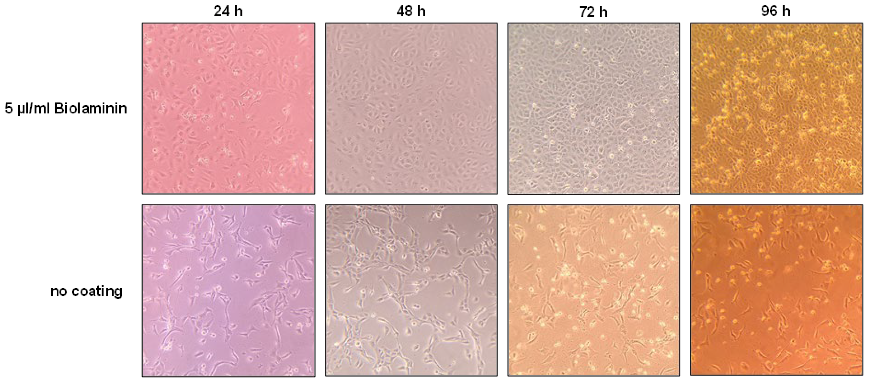 Viruses 15 00397 g001 Viruses 15 00397 g001