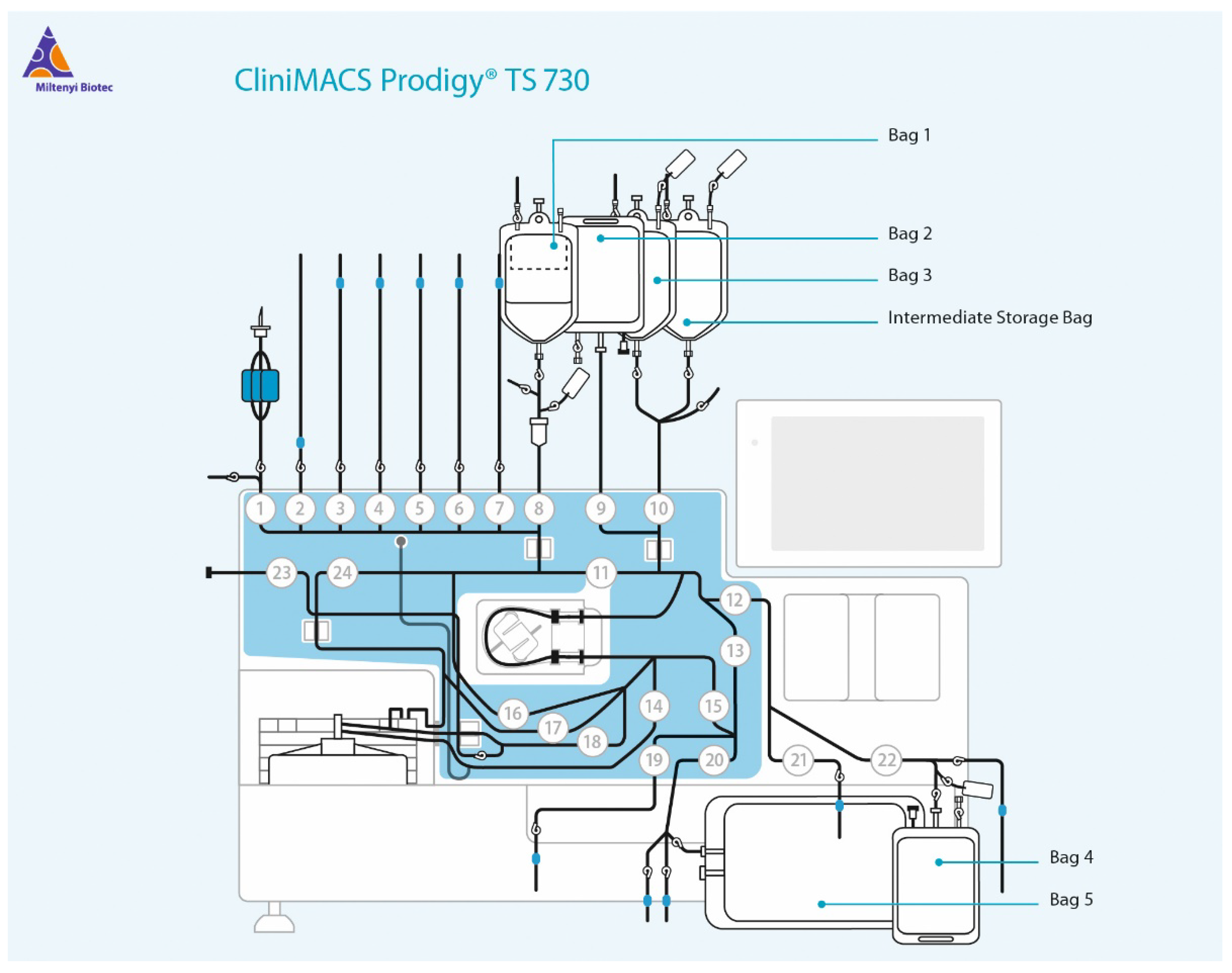 Viruses 15 00397 g0a1 Viruses 15 00397 g0a1