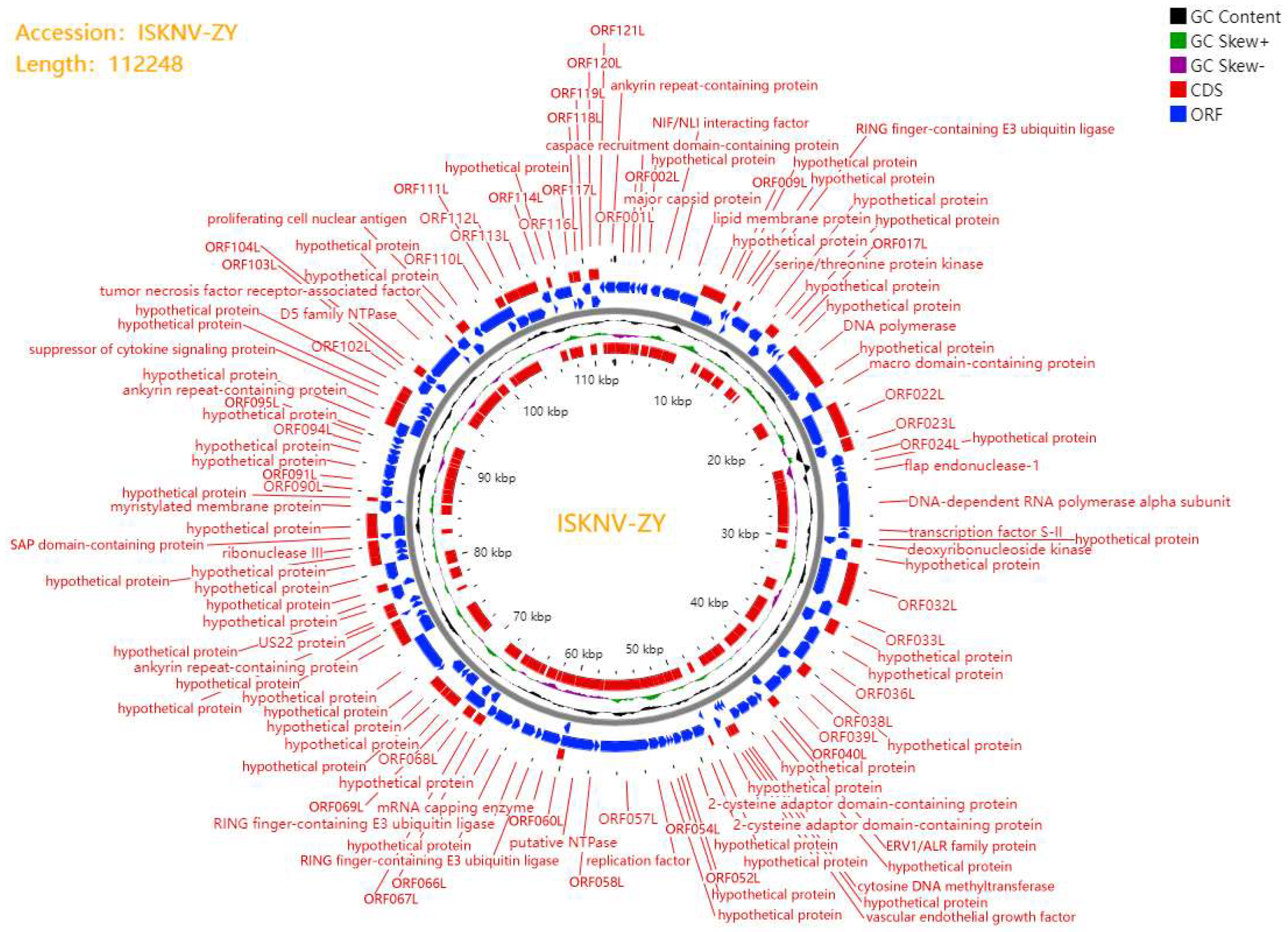 Viruses 15 00398 g002