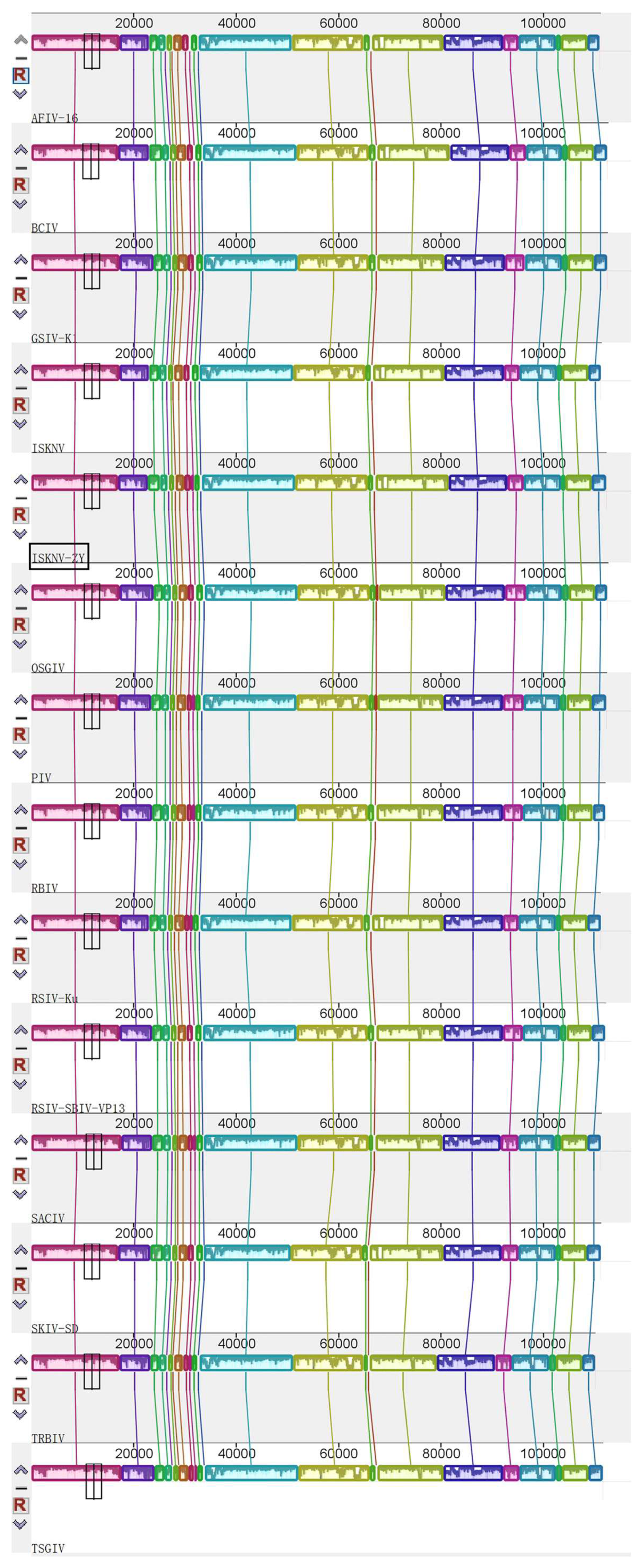 Viruses 15 00398 g004