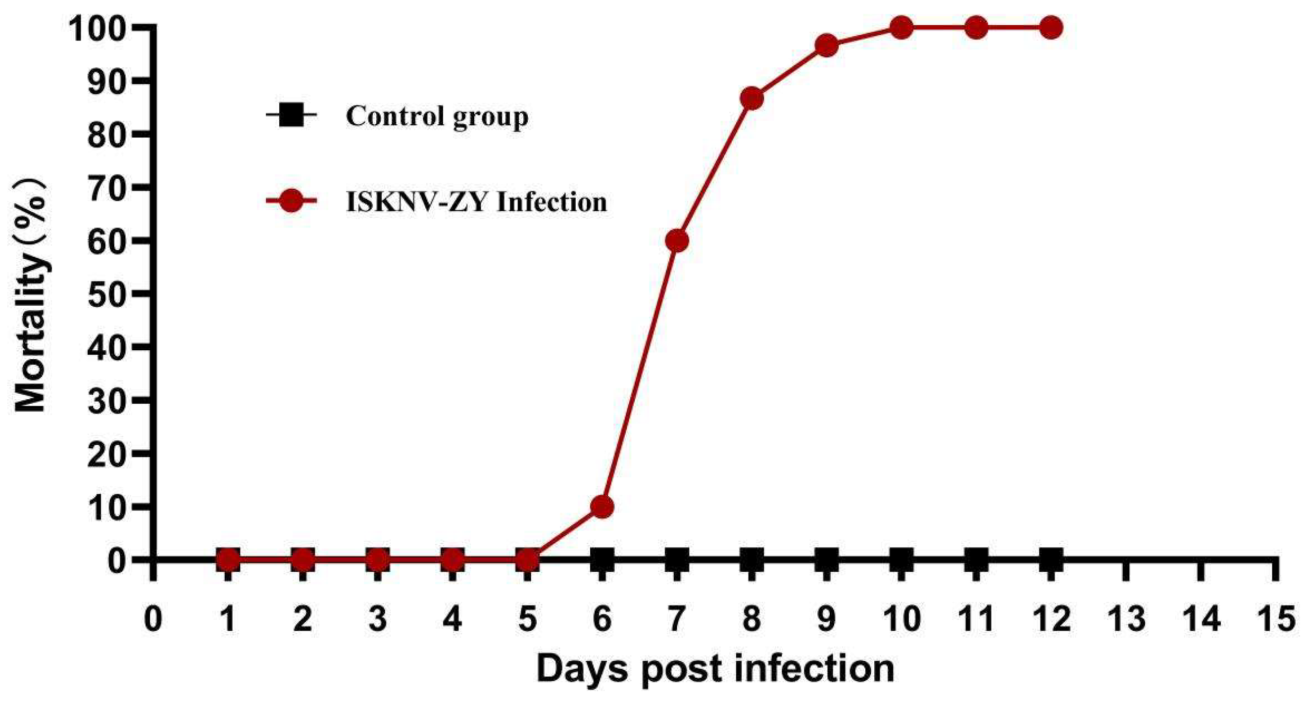 Viruses 15 00398 g005