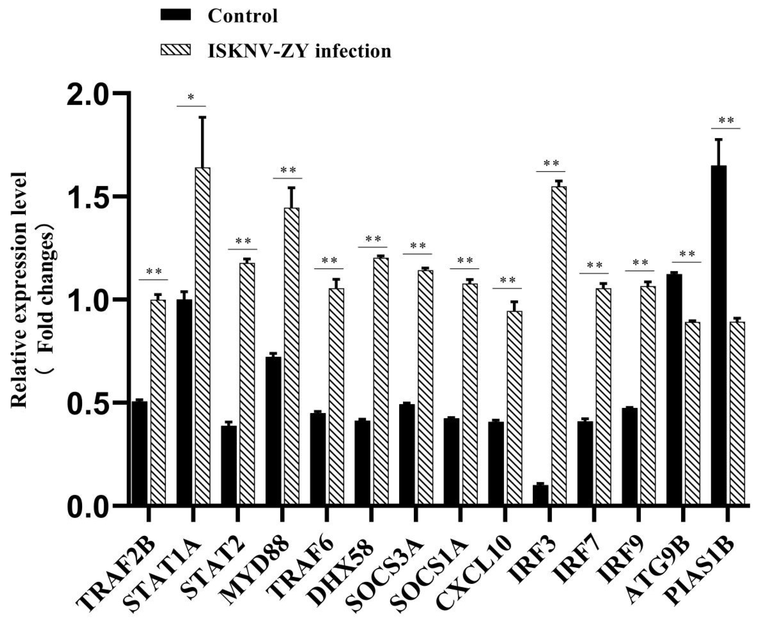 Viruses 15 00398 g007