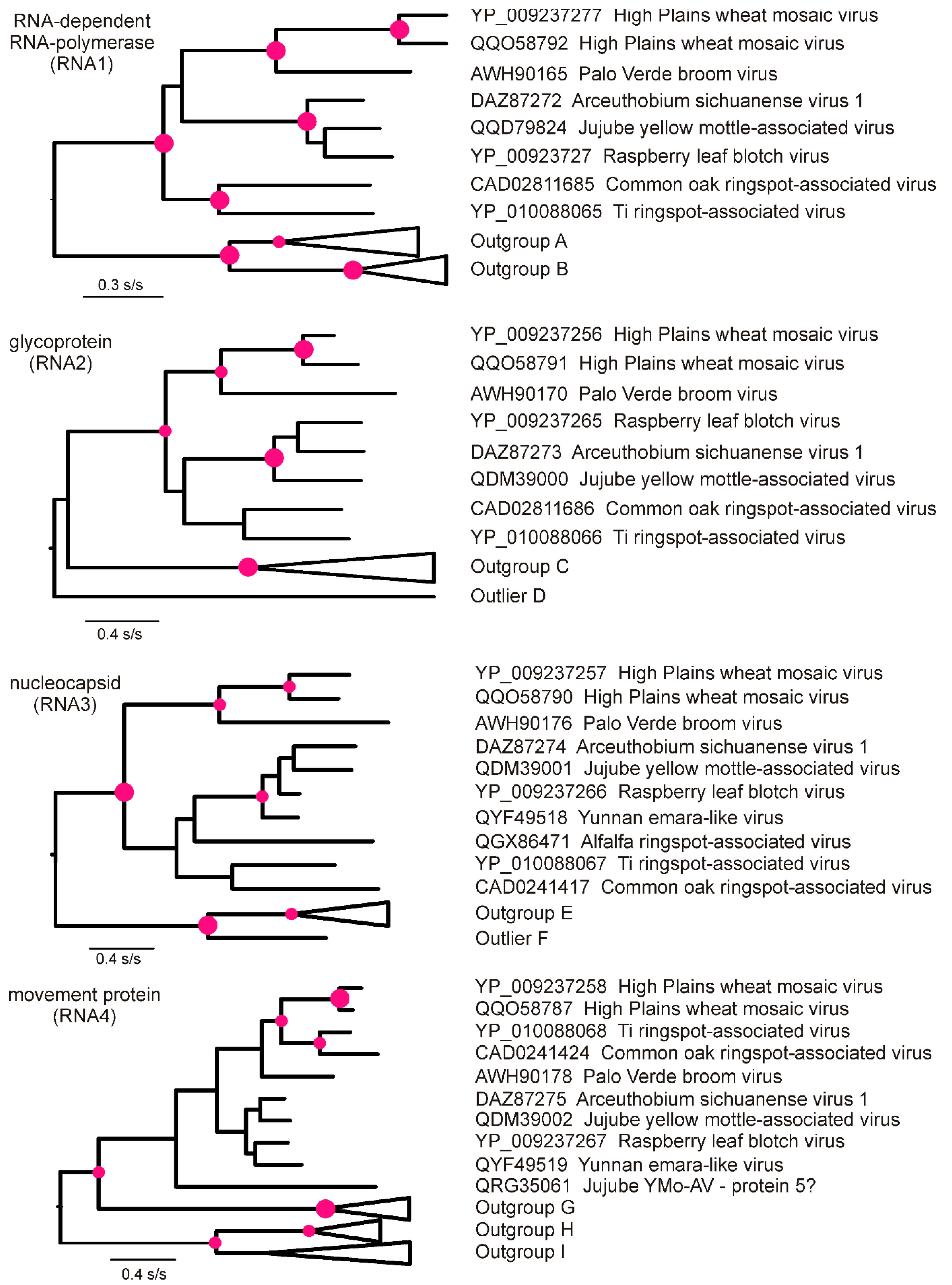 Viruses 15 00401 g003