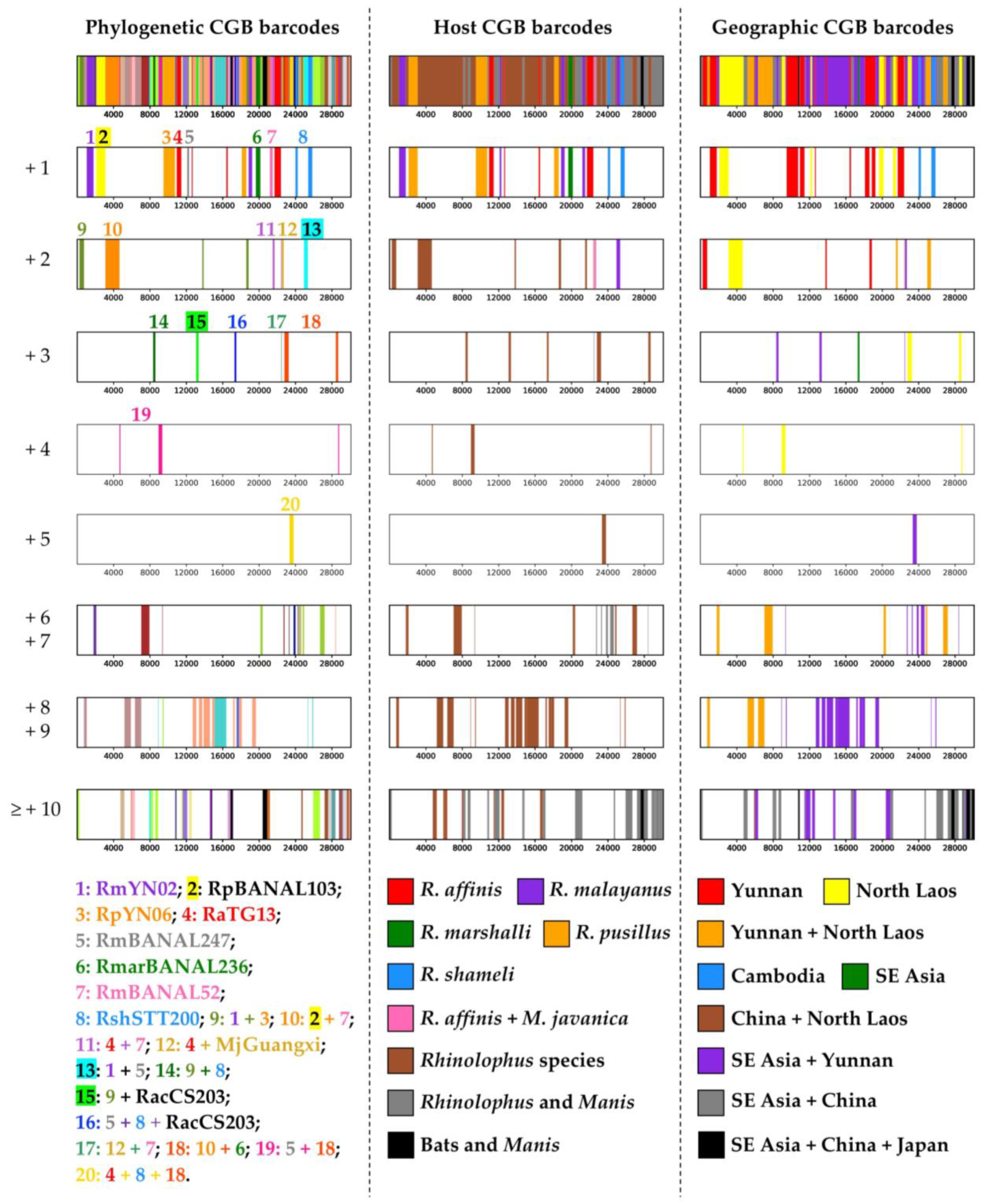 Viruses 15 00406 g005