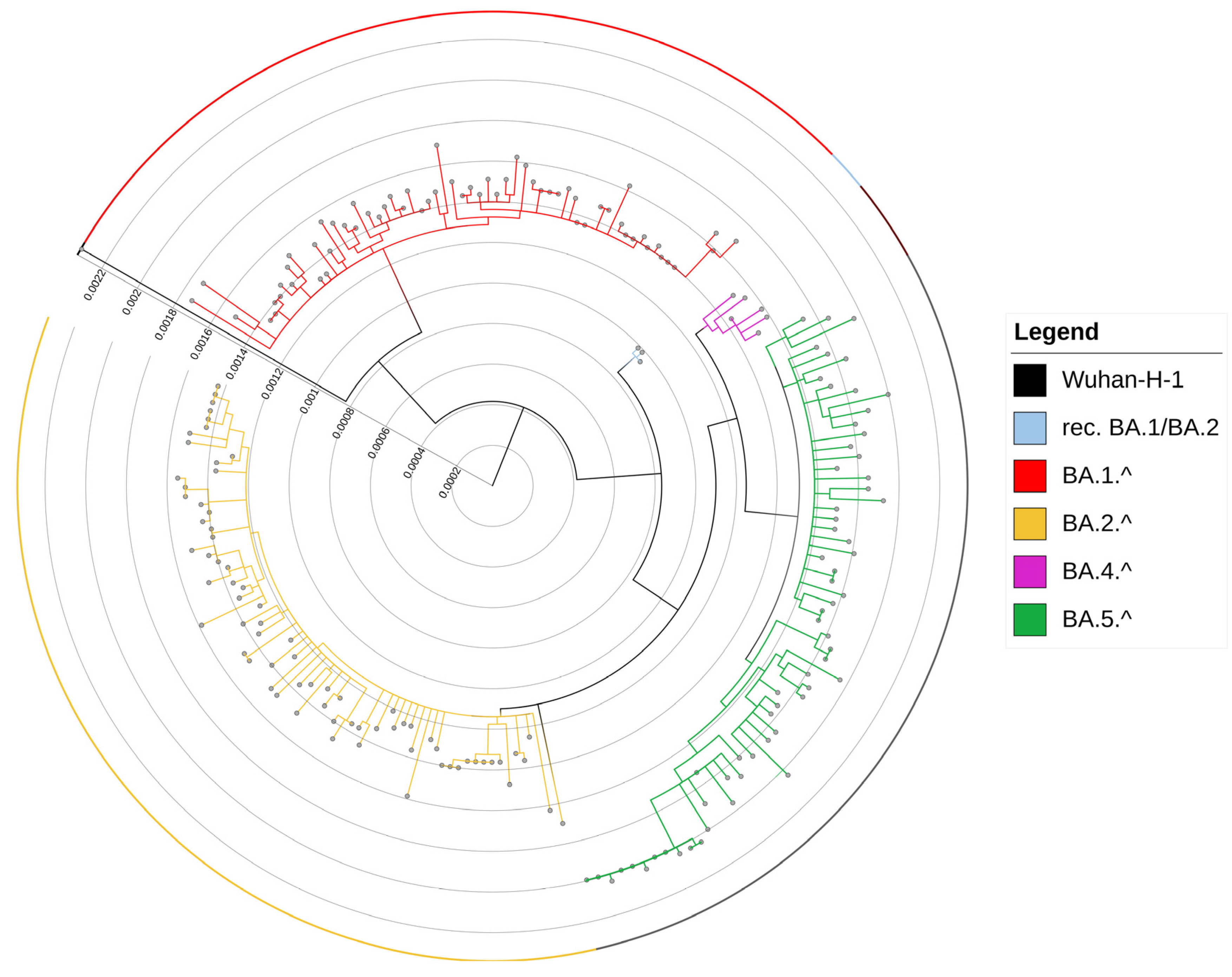 Viruses 15 00408 g001 Viruses 15 00408 g001