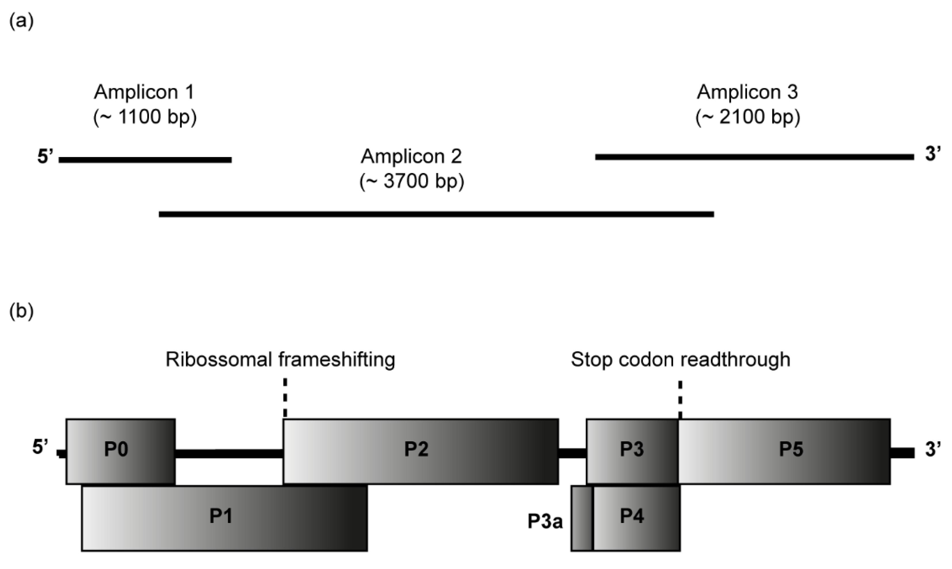 Viruses 15 00410 g002 Viruses 15 00410 g002