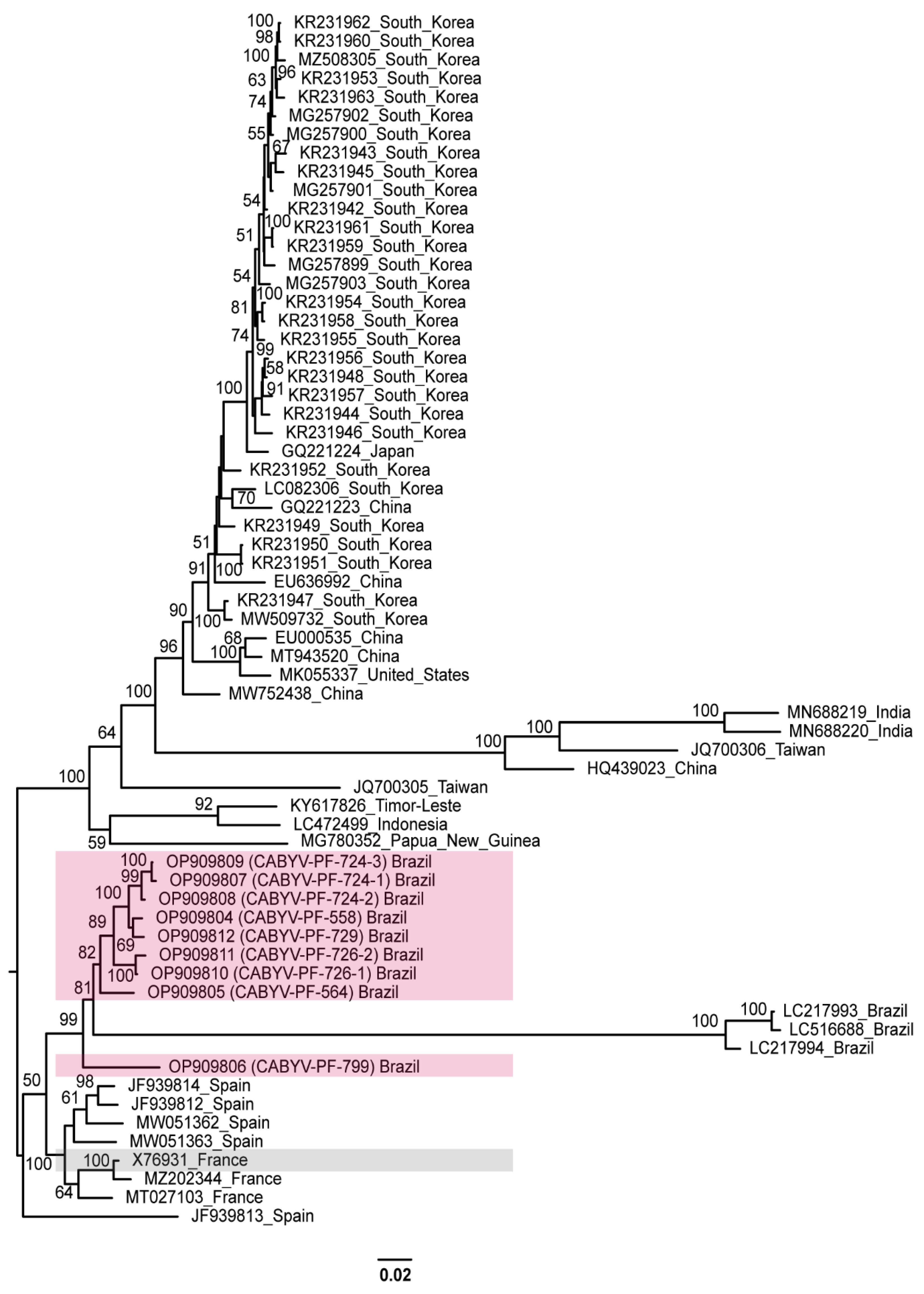 Viruses 15 00410 g003 Viruses 15 00410 g003