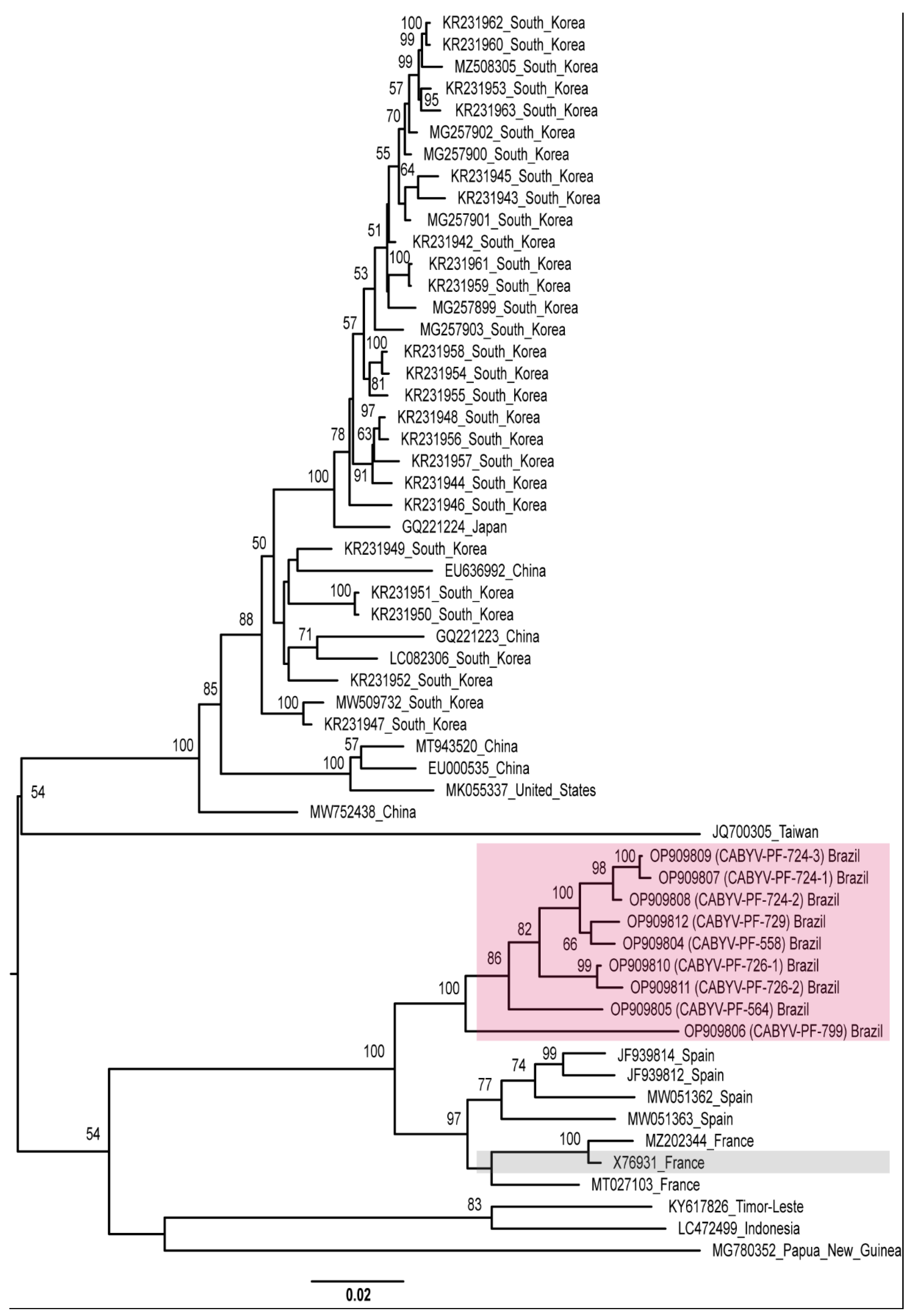 Viruses 15 00410 g004 Viruses 15 00410 g004