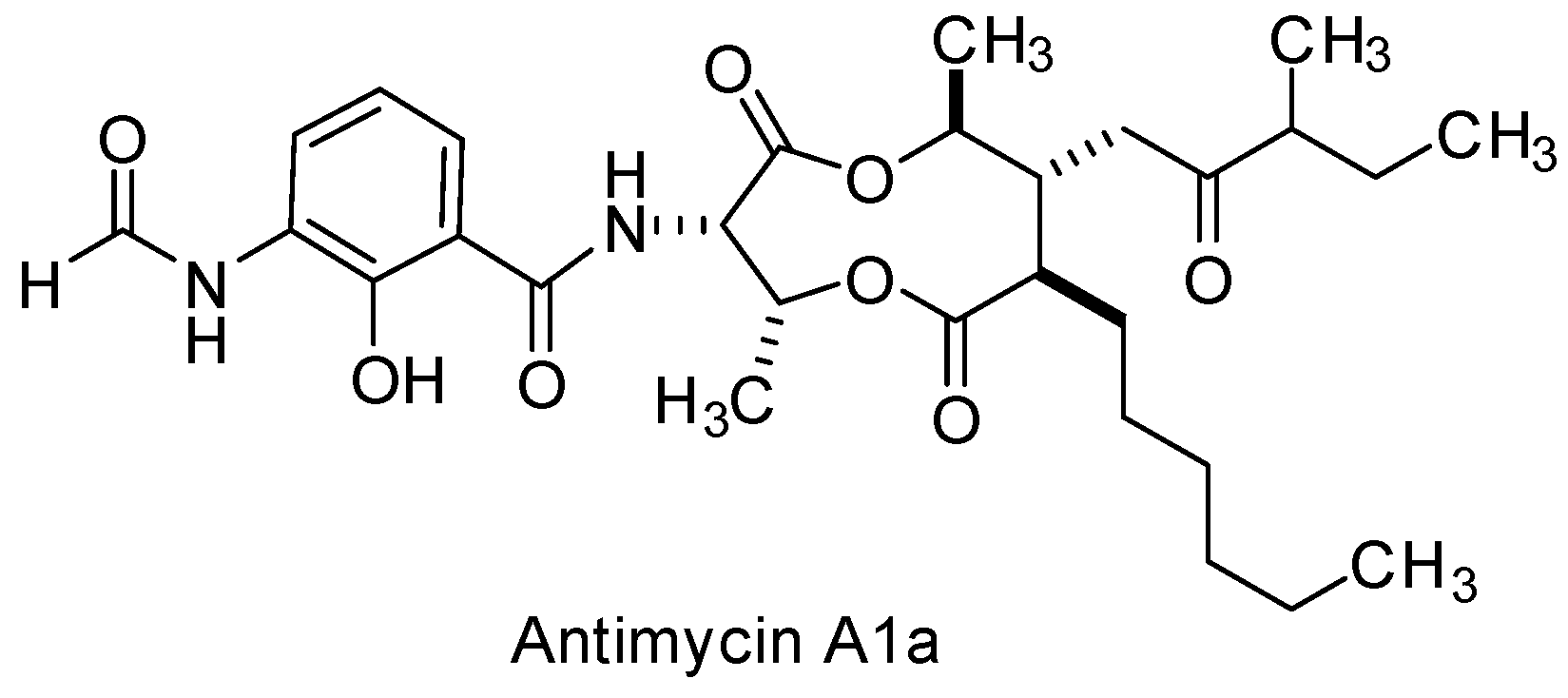 Viruses 15 00413 g006