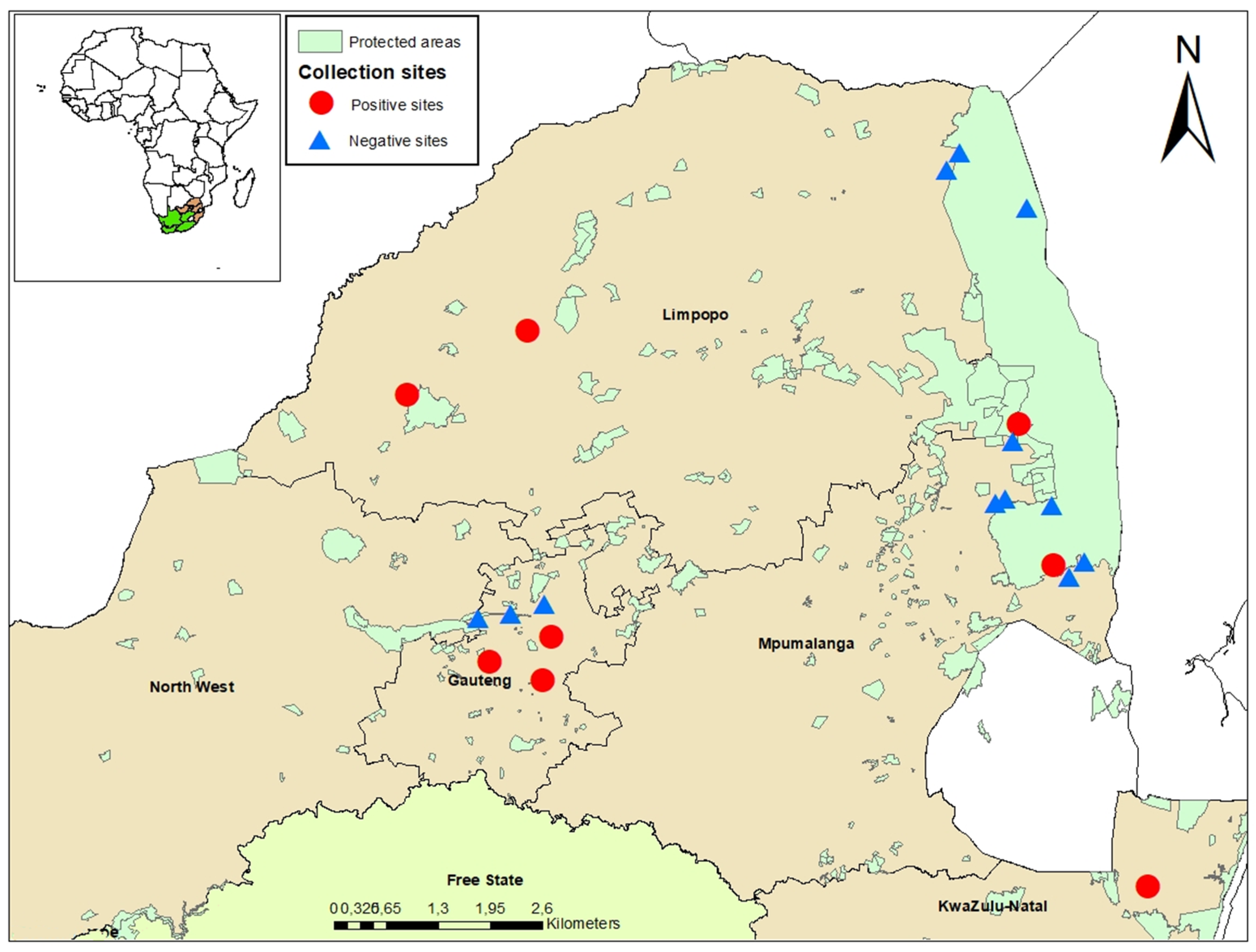 Viruses 15 00414 g001 Viruses 15 00414 g001