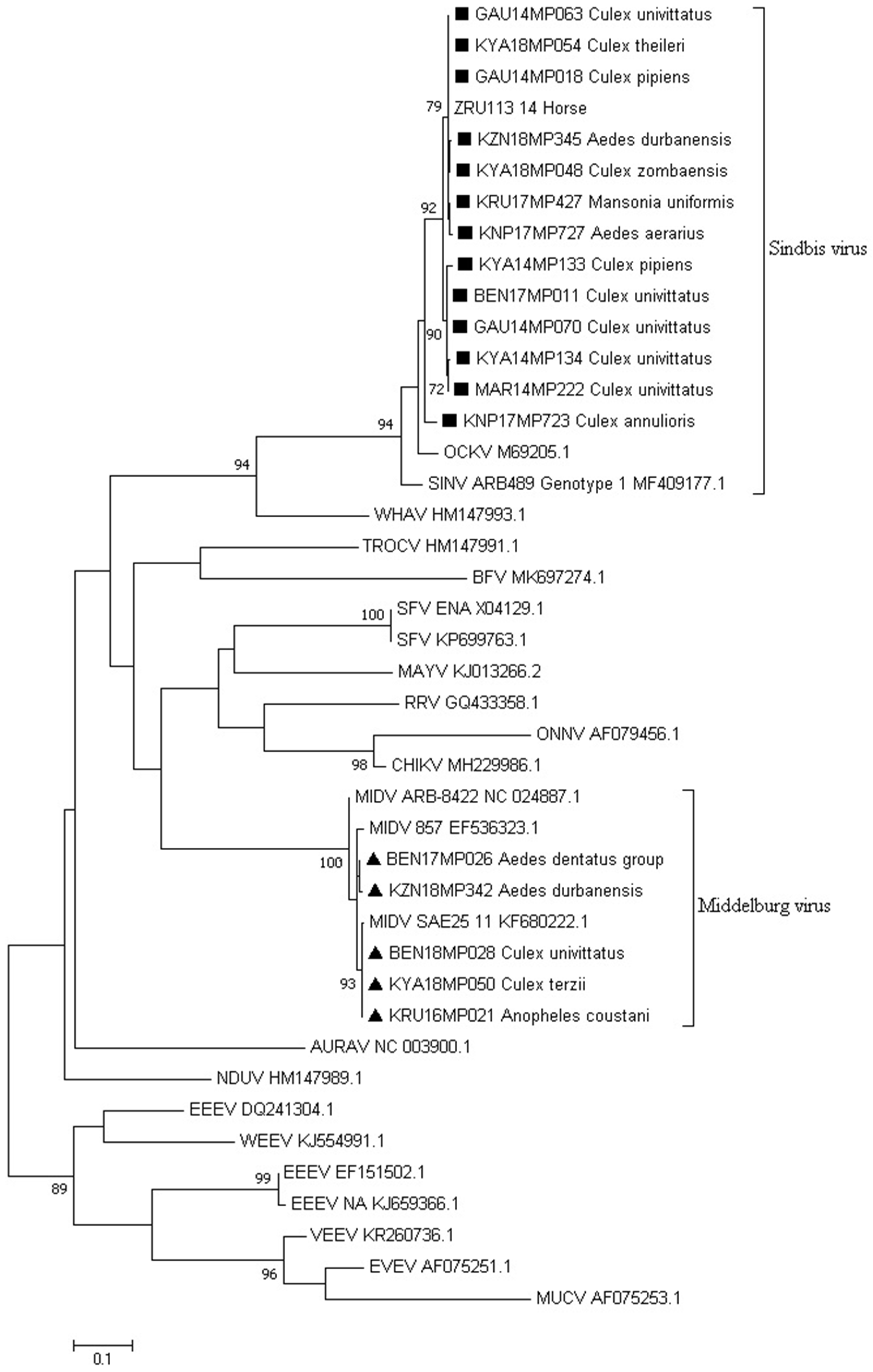 Viruses 15 00414 g004 Viruses 15 00414 g004