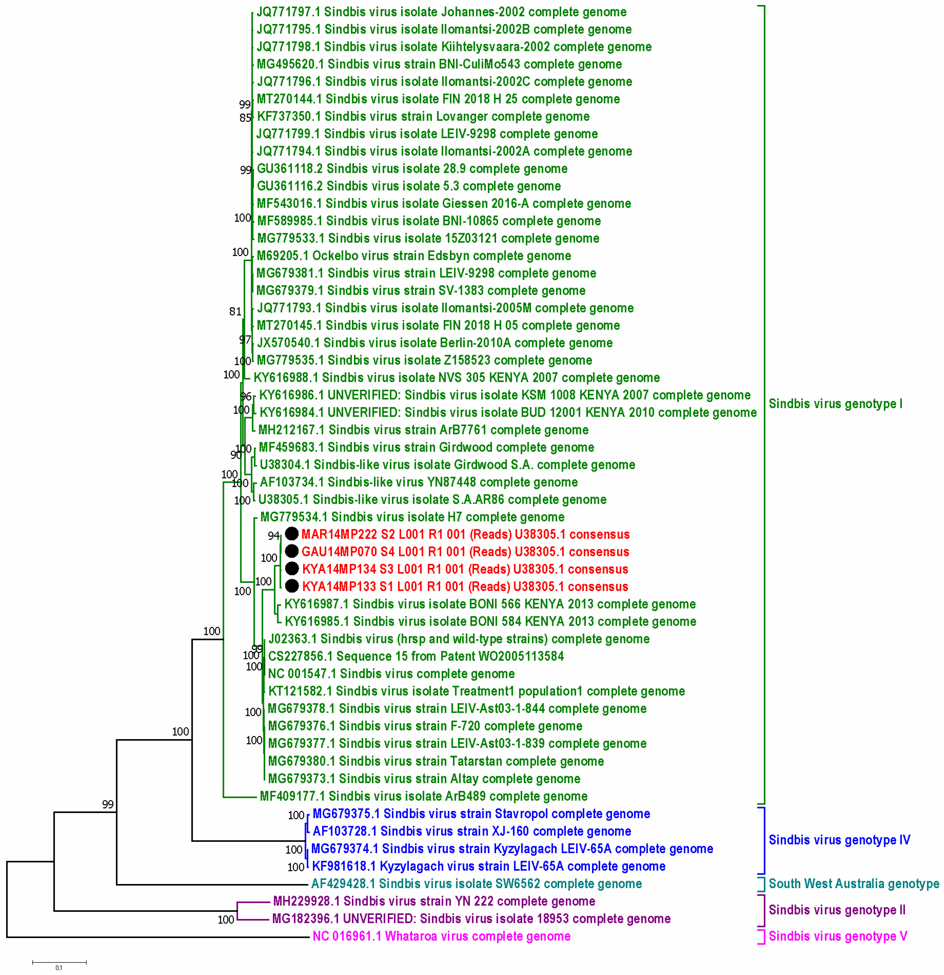 Viruses 15 00414 g005 Viruses 15 00414 g005