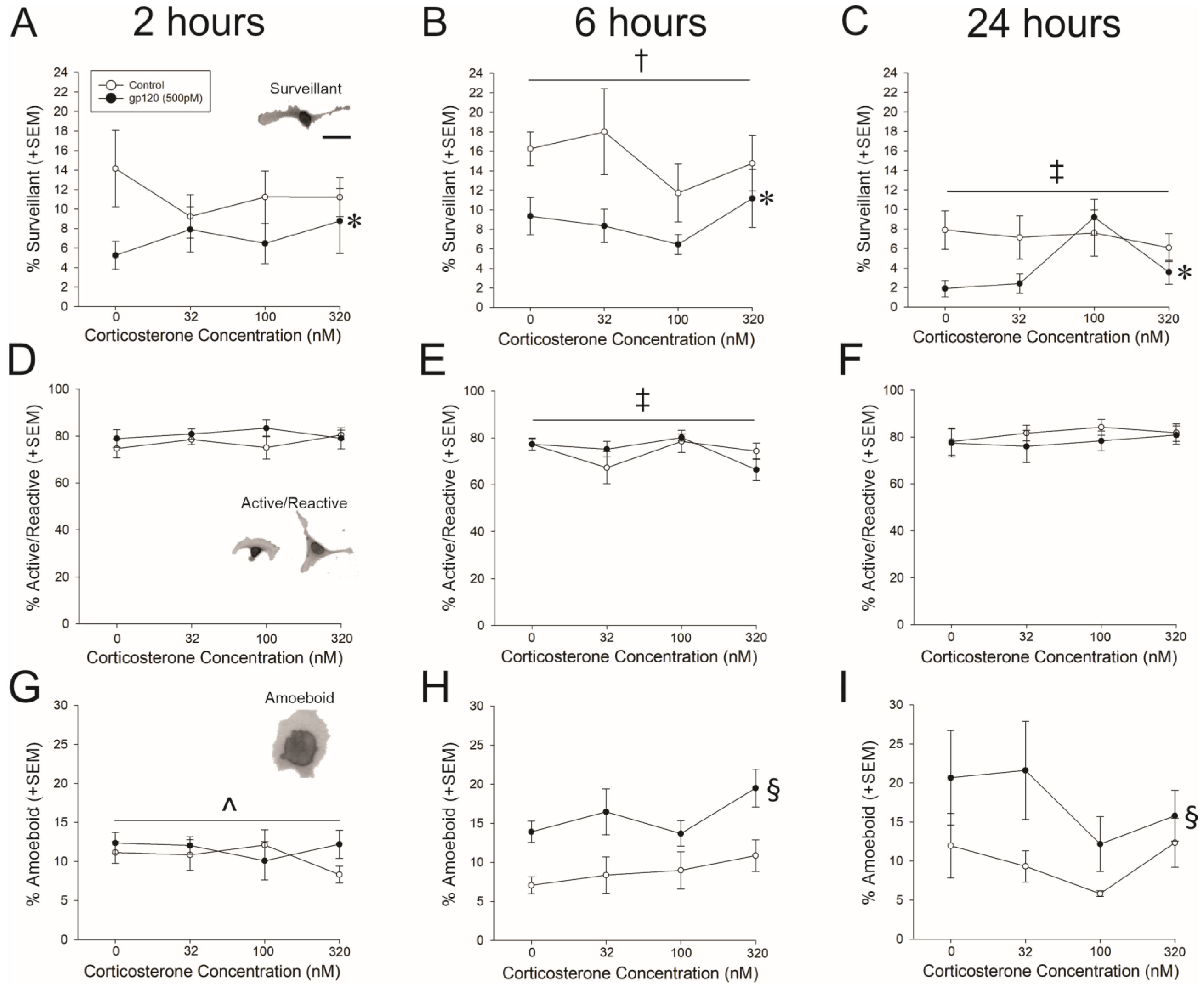 Viruses 15 00424 g001