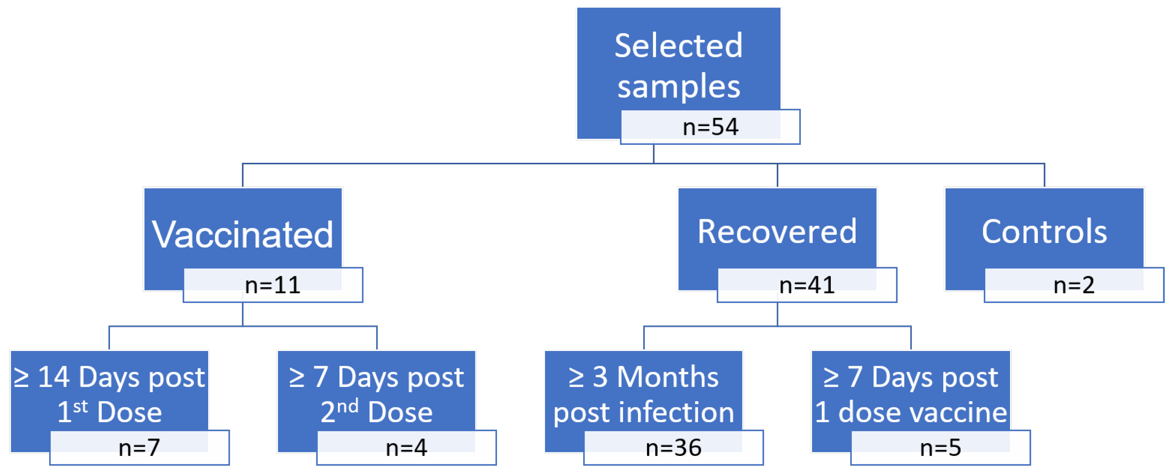 Viruses 15 00426 g001